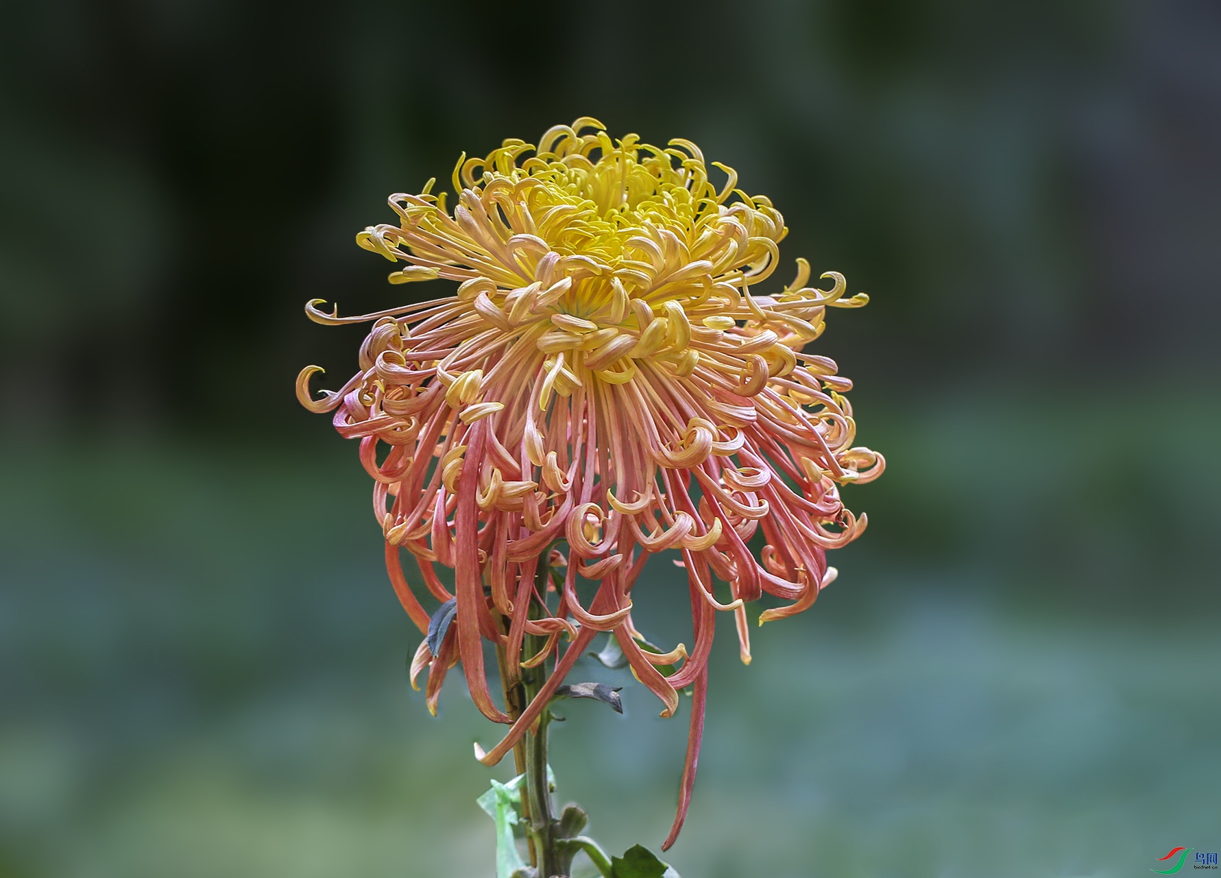 0017958322U9A0948 ��������1000k ����.jpg