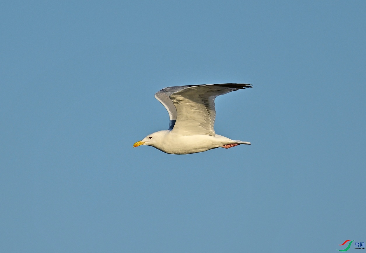 _DSC3586.jpg