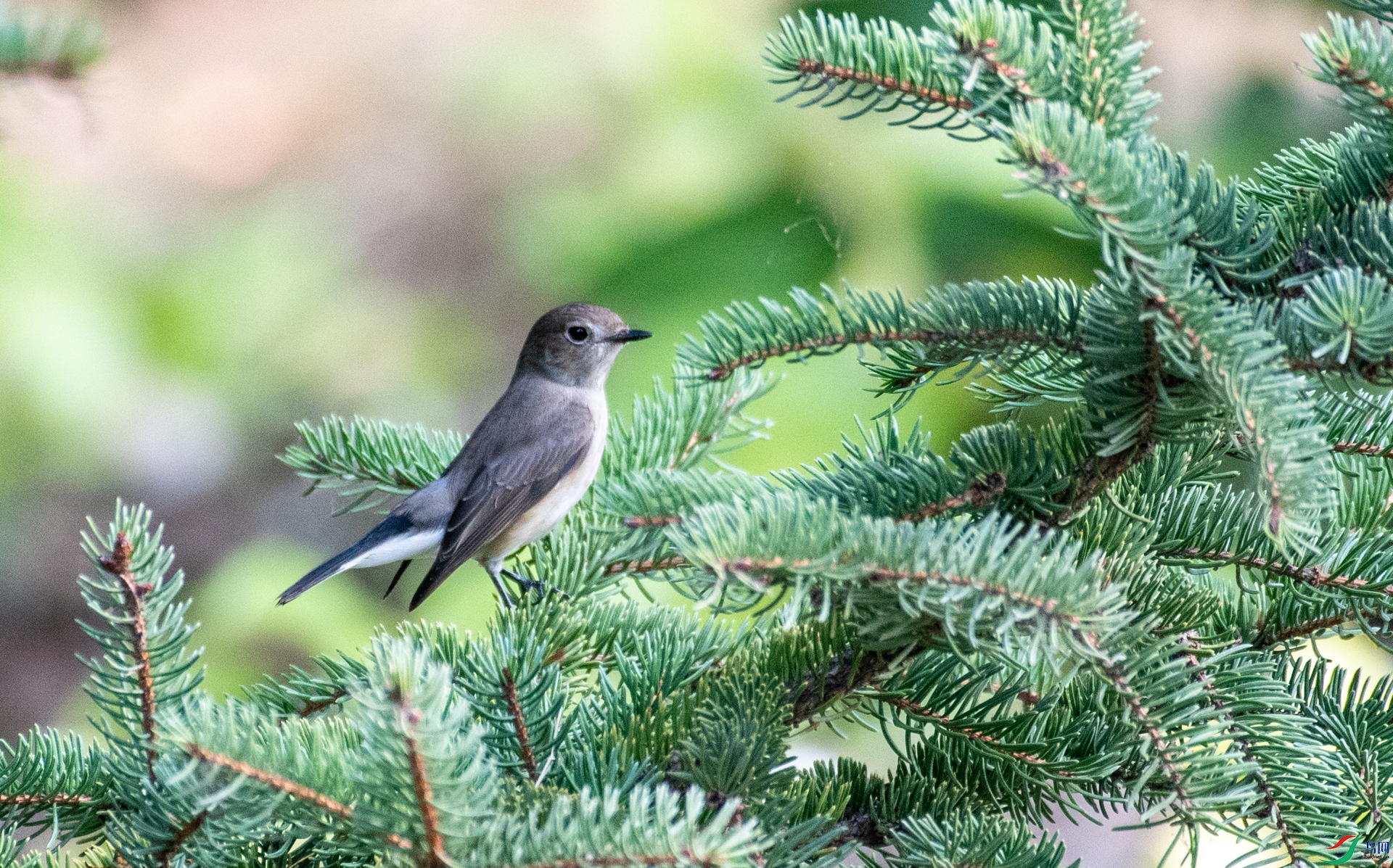 DSC_9722.jpg