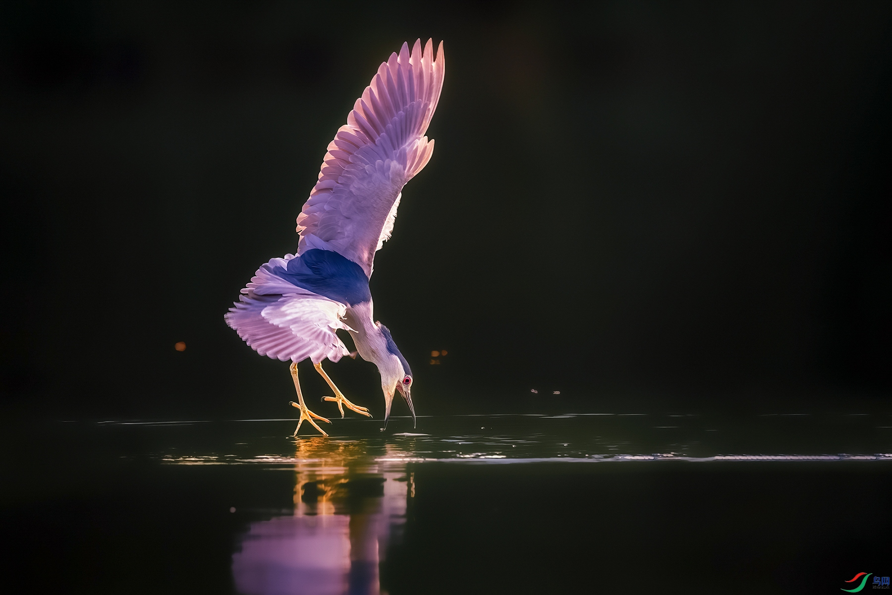 DSC_1417 ����L ���� 2.jpg