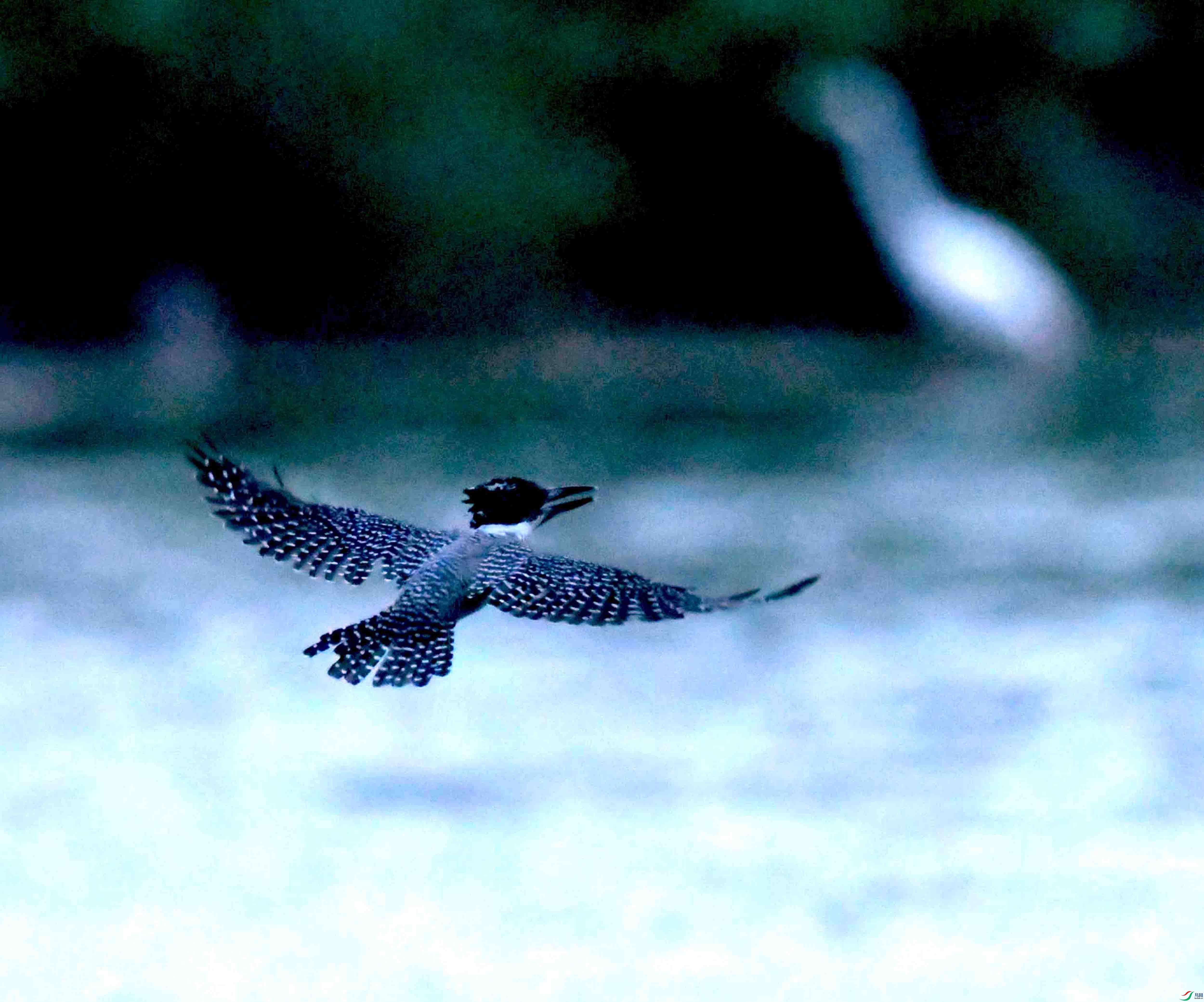 DSC_5969.JPG