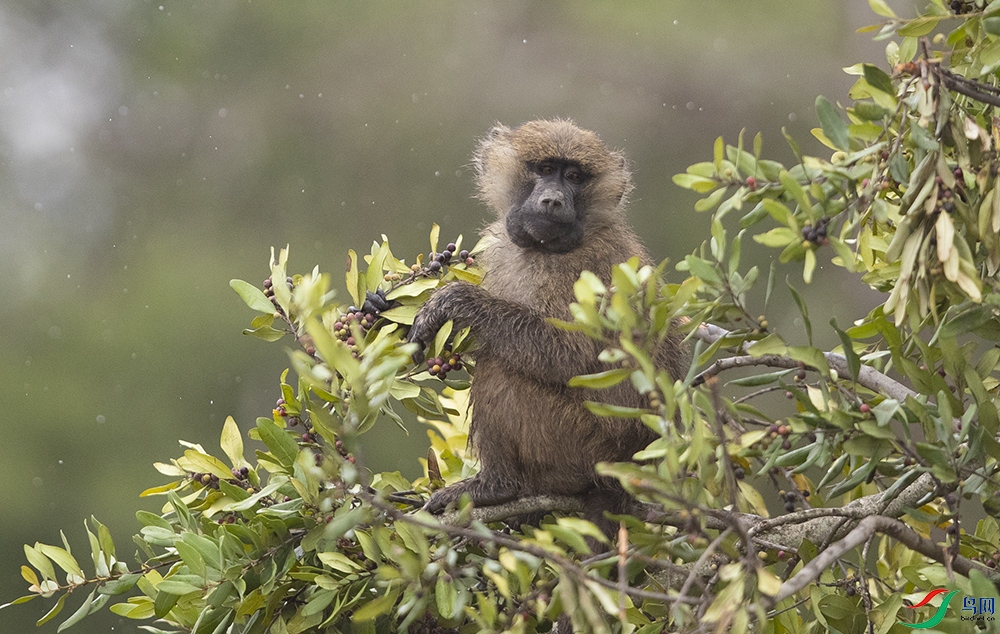 �������� (2).jpg