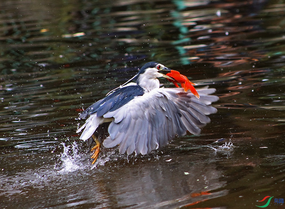 IMG_4548.1.jpg