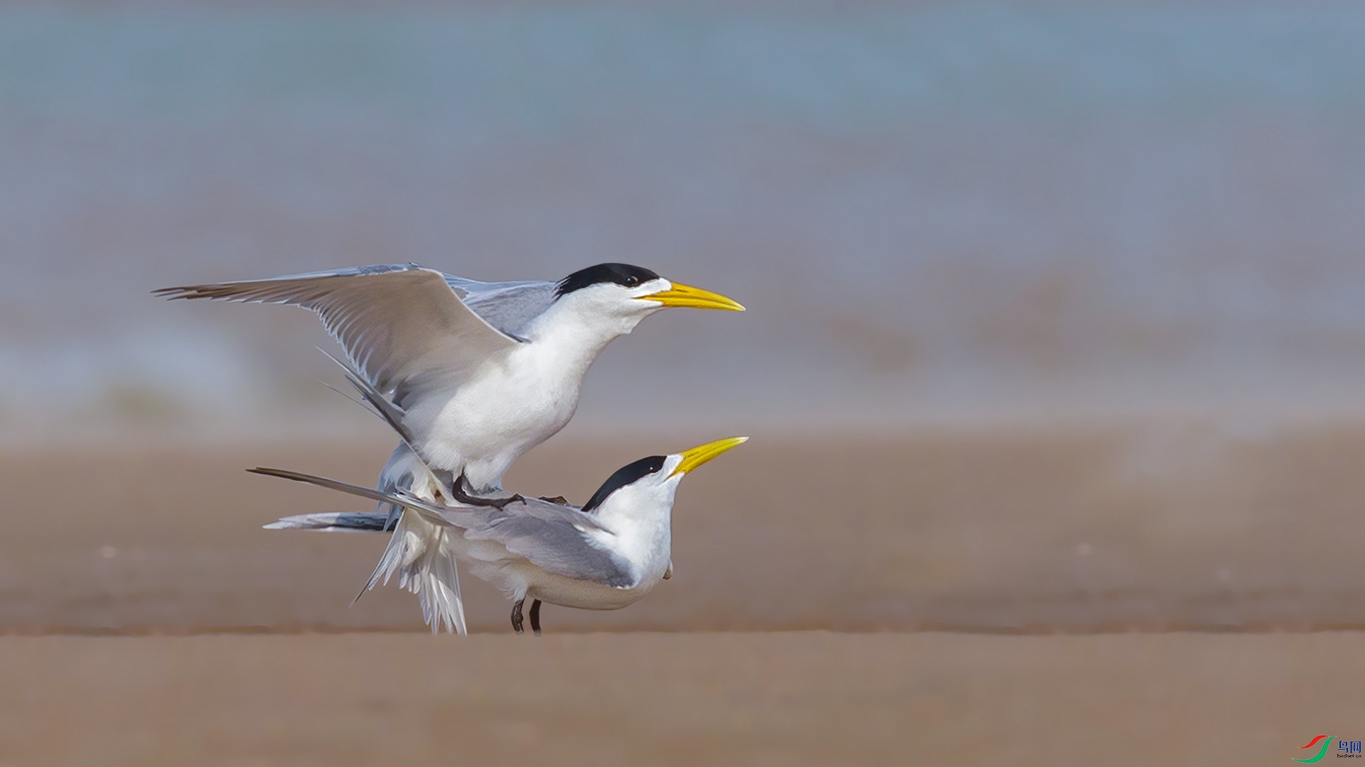 ������  ������� Դ����Ȼ_FQ_4079-01.jpg