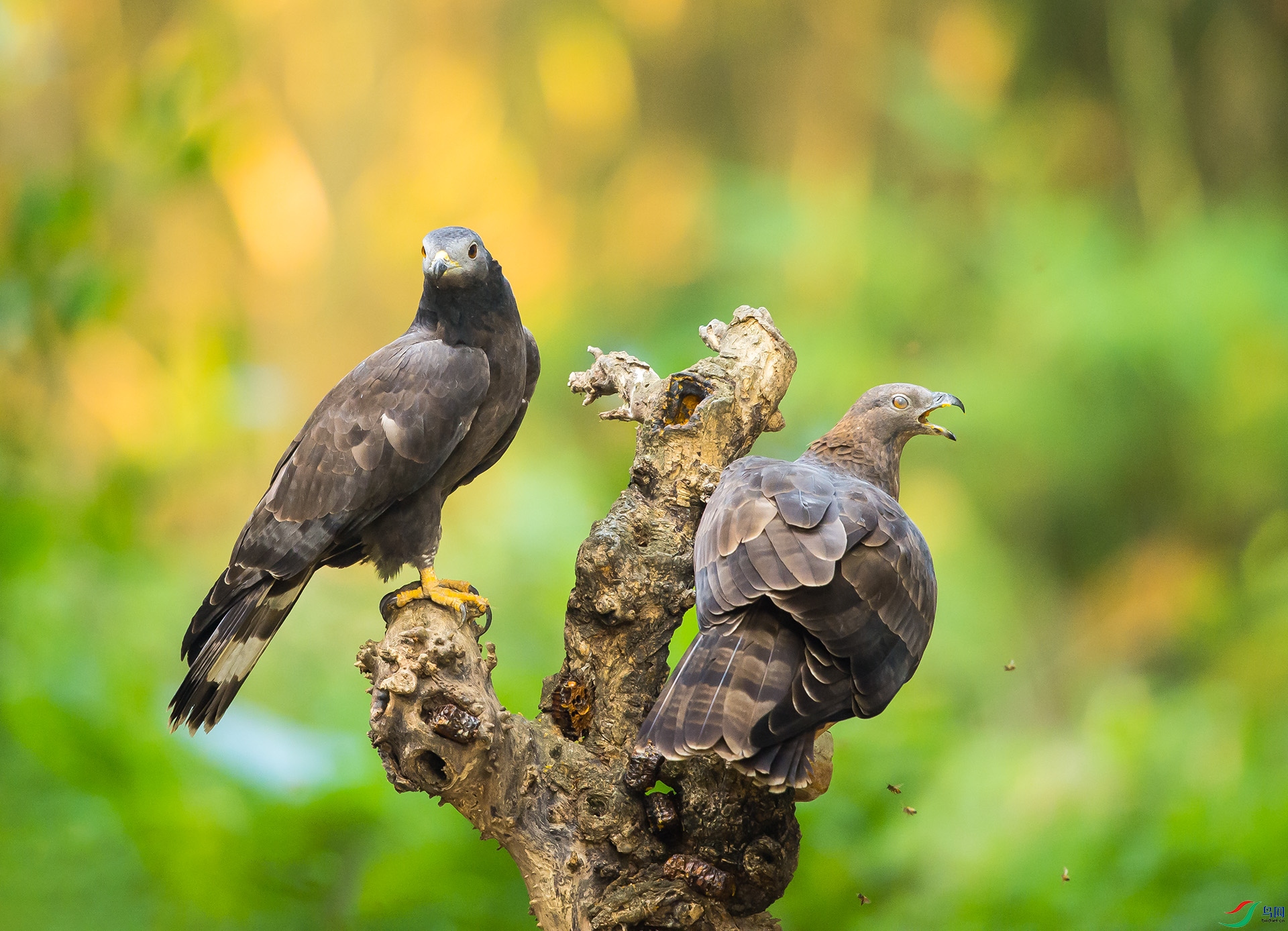 ��DSC_8786 ��ؐ.jpg