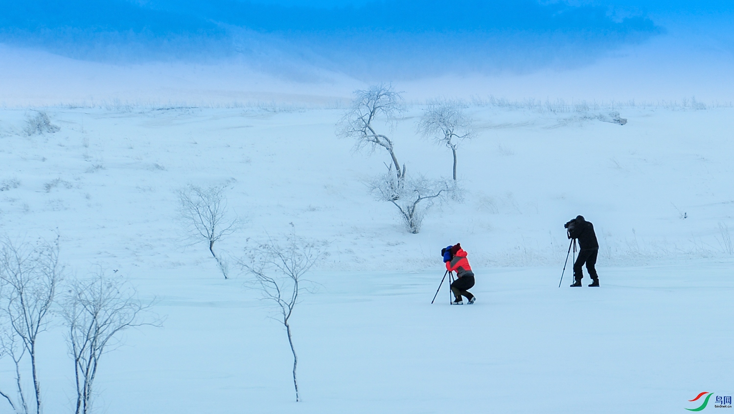 DSC_1284-1.jpg
