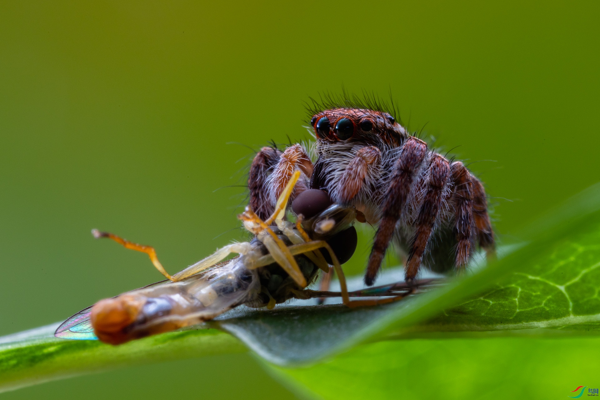 0I0A2093 ����.jpg