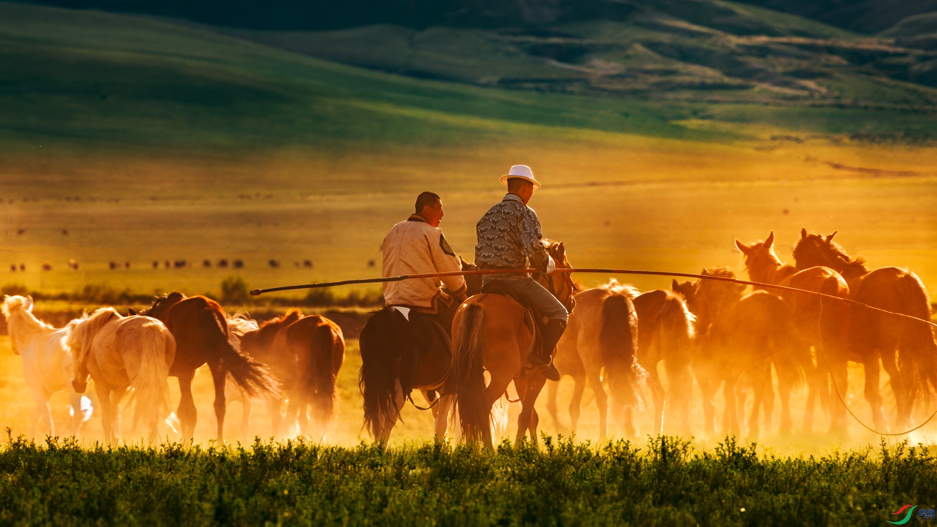 ��¼�� ĺ�� ��־���� 15853175198X7A4798.jpg