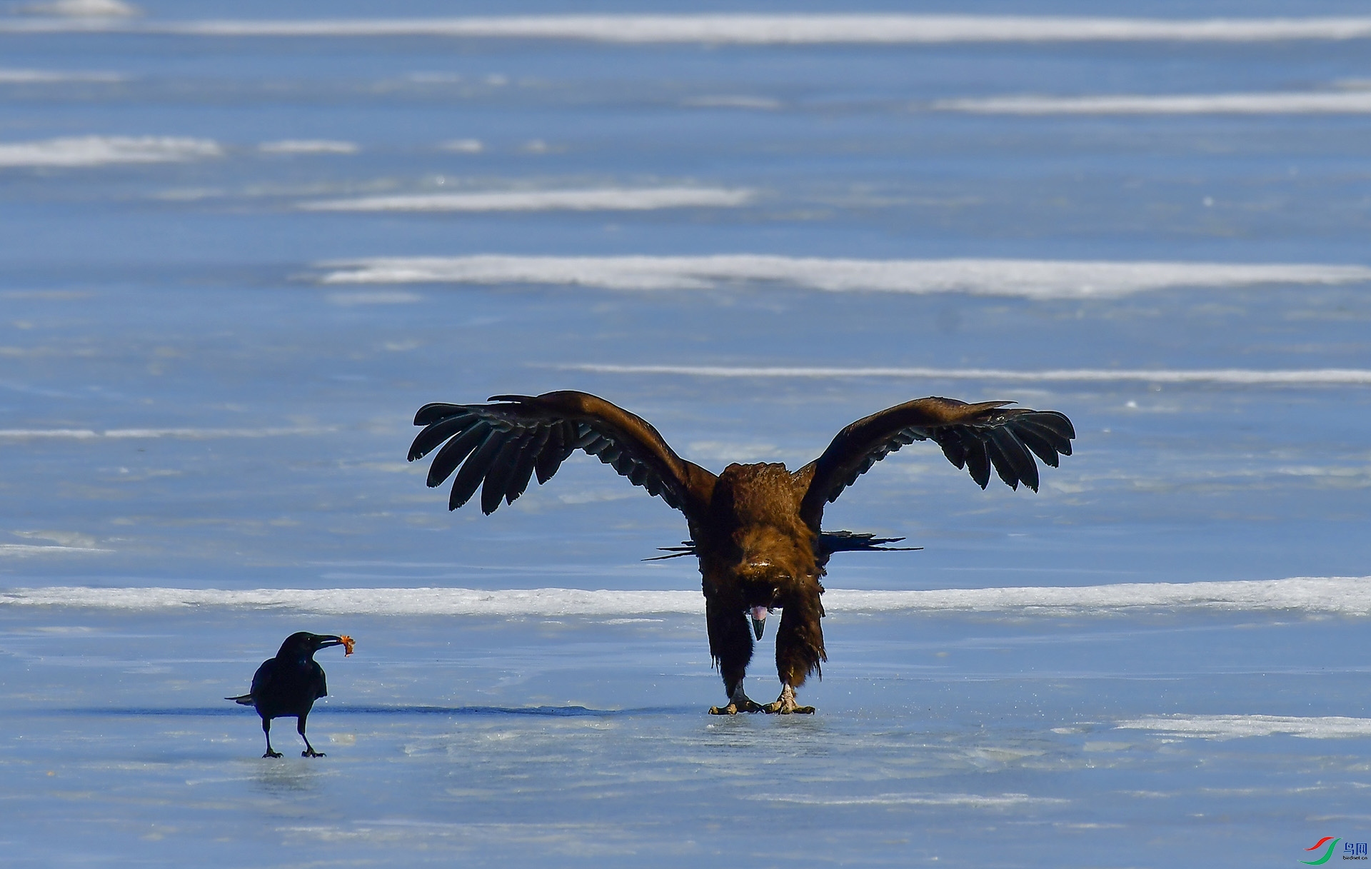 DSC_8746 -1.jpg