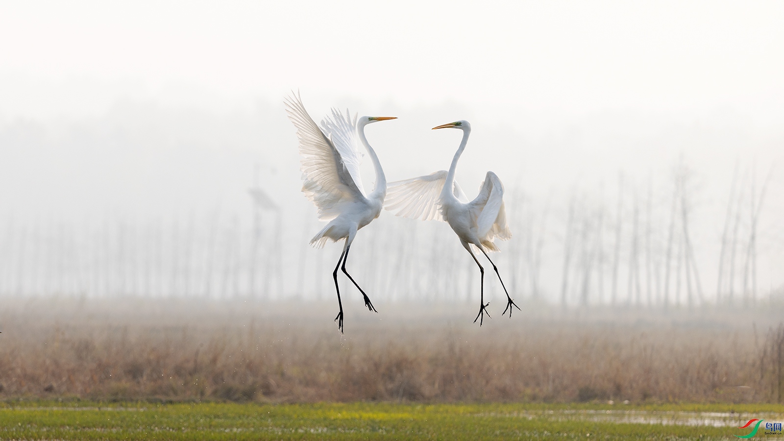 hnxyR221108 (6303).jpg