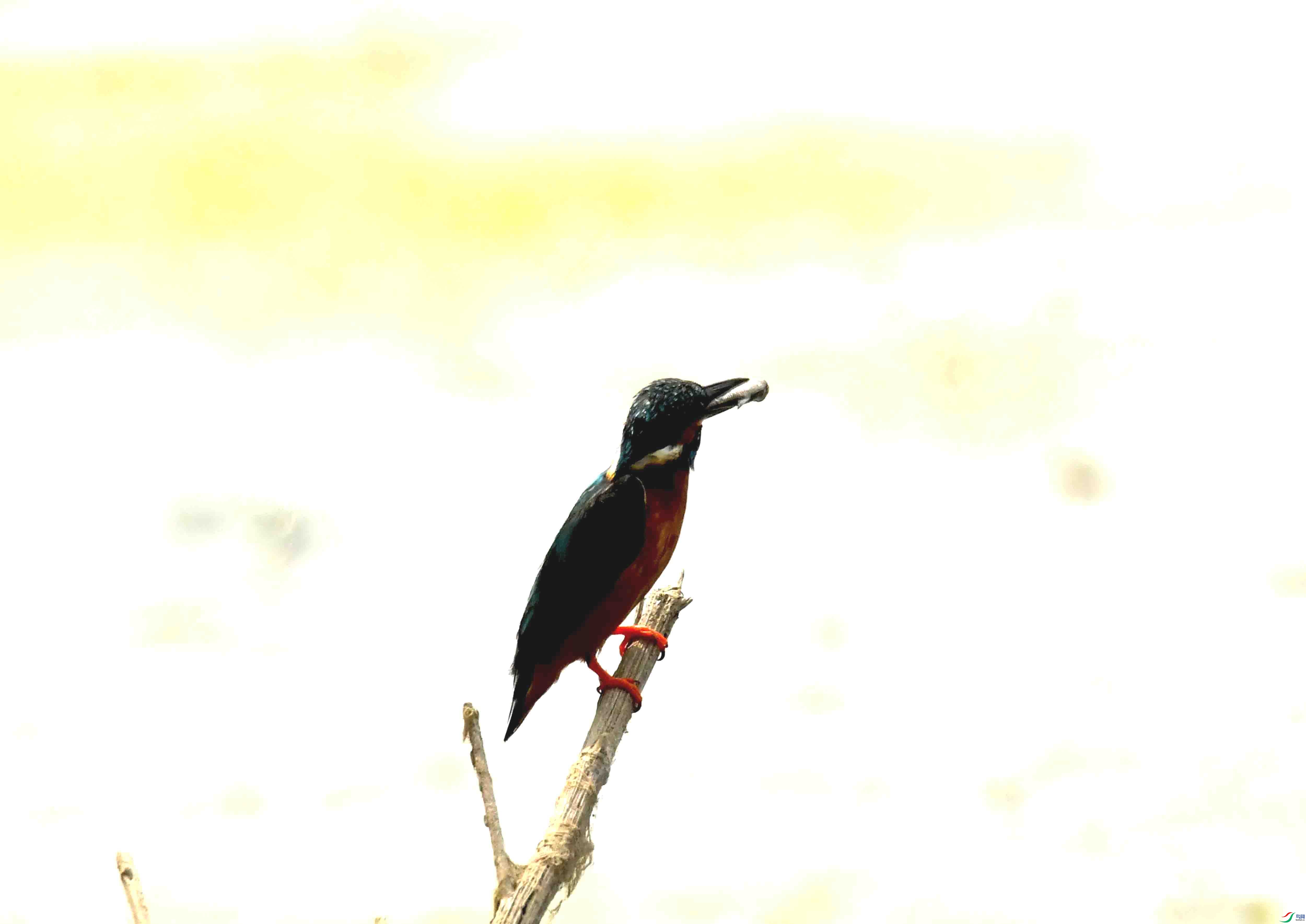 DSC_0014.JPG