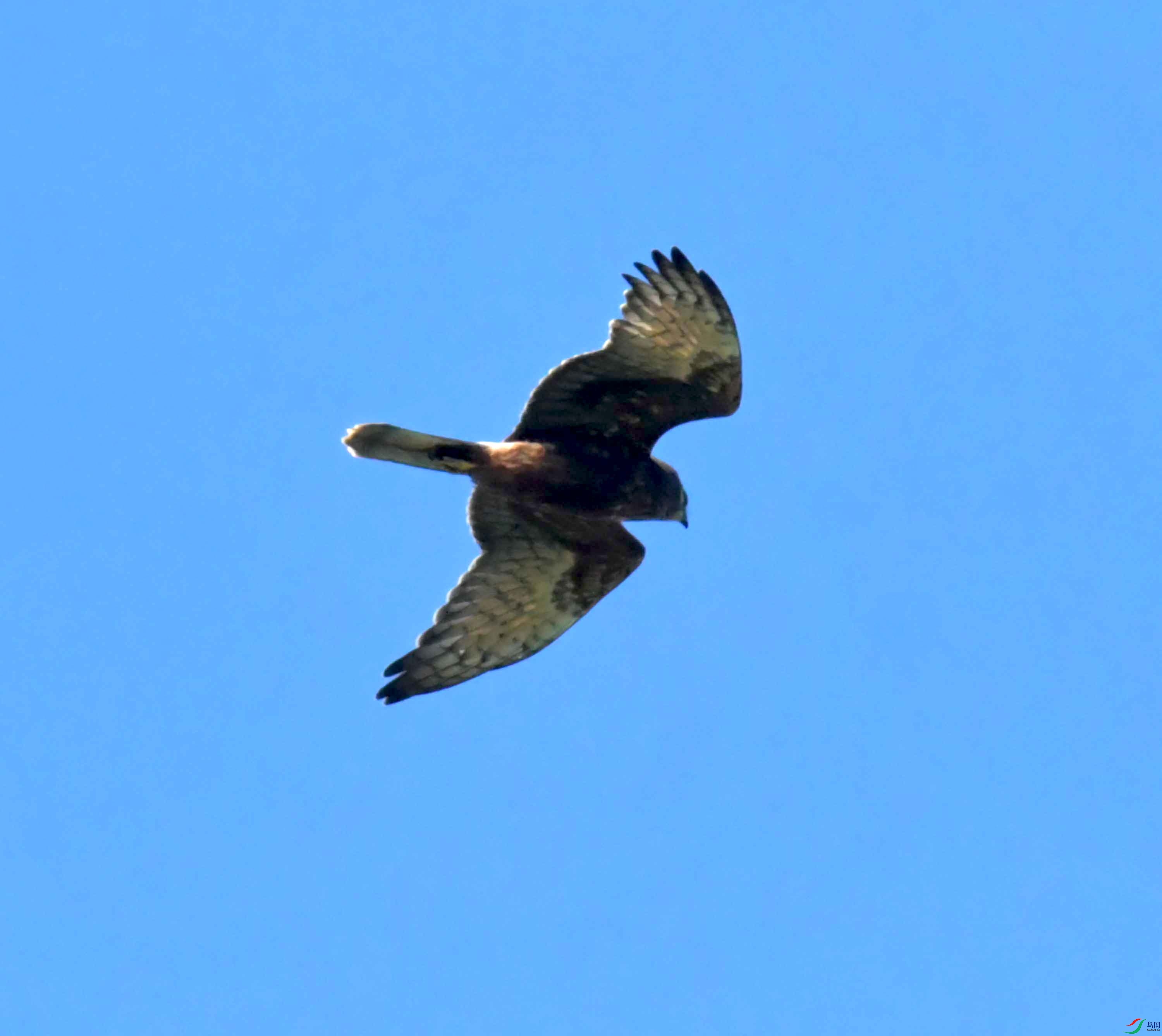 DSC_4270.JPG
