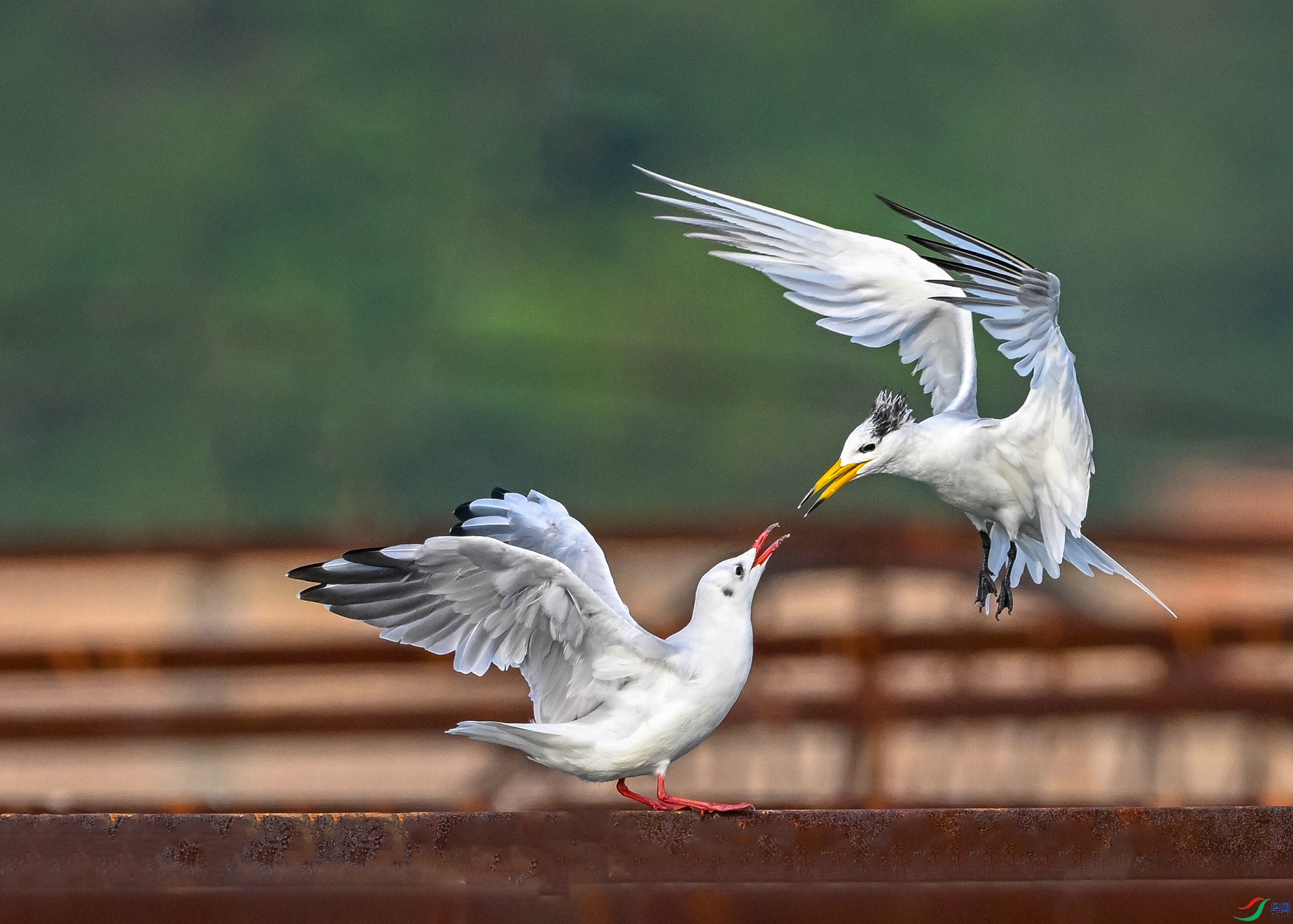 0832 ����.jpg