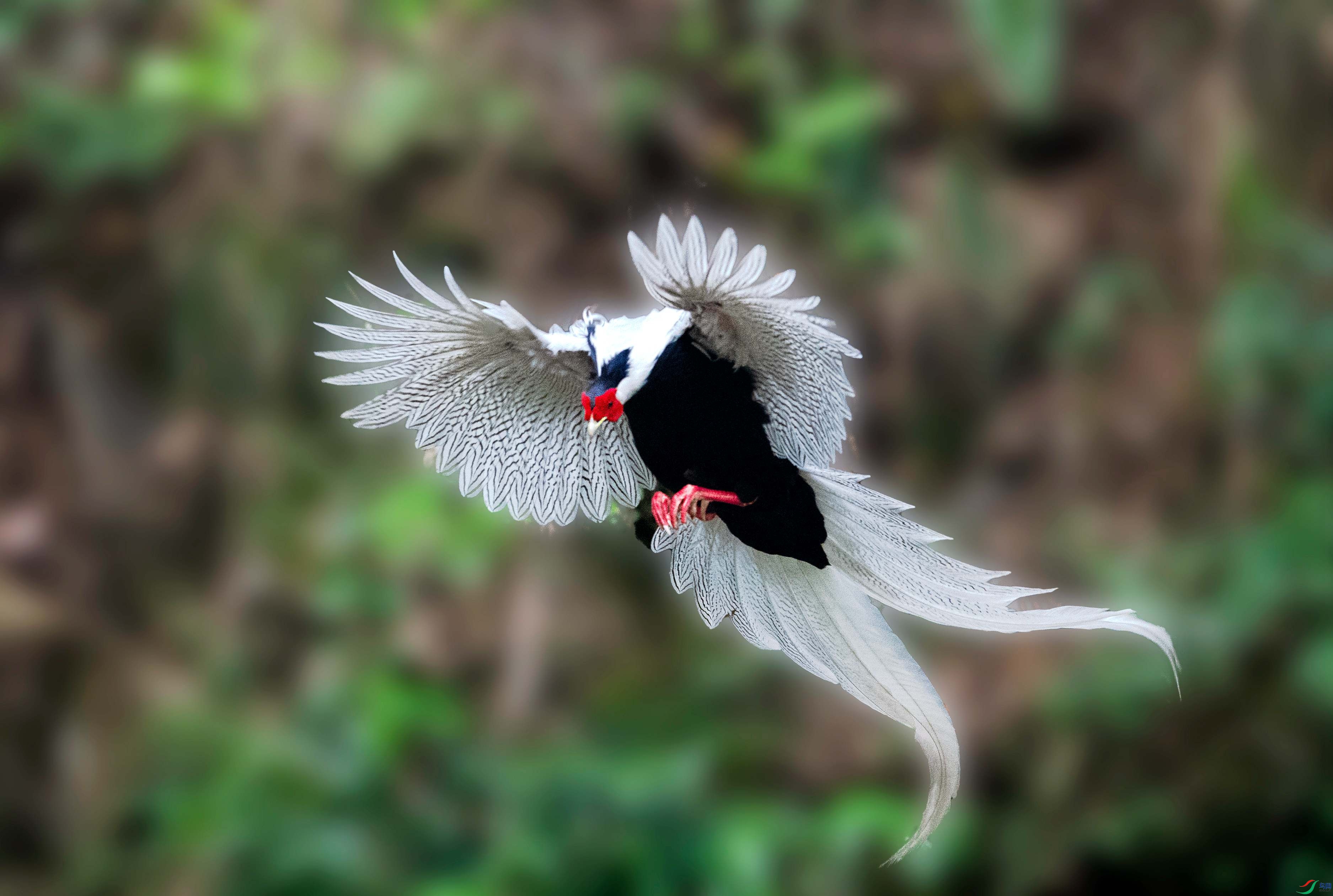 DSC_7862_����.jpg