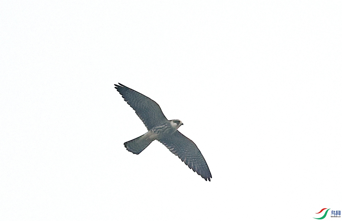 3A9168����-23.JPG