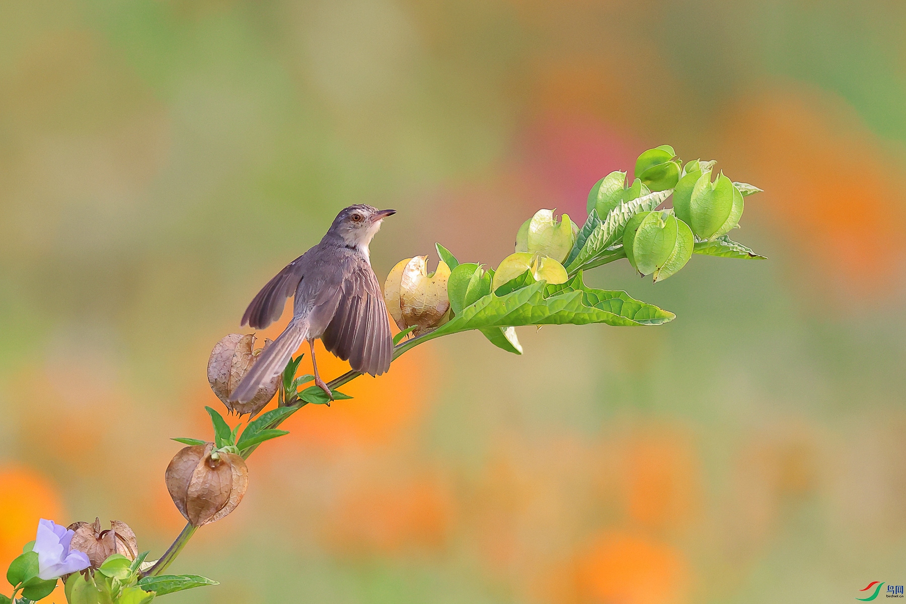 1M6A0288 ����_����.jpg