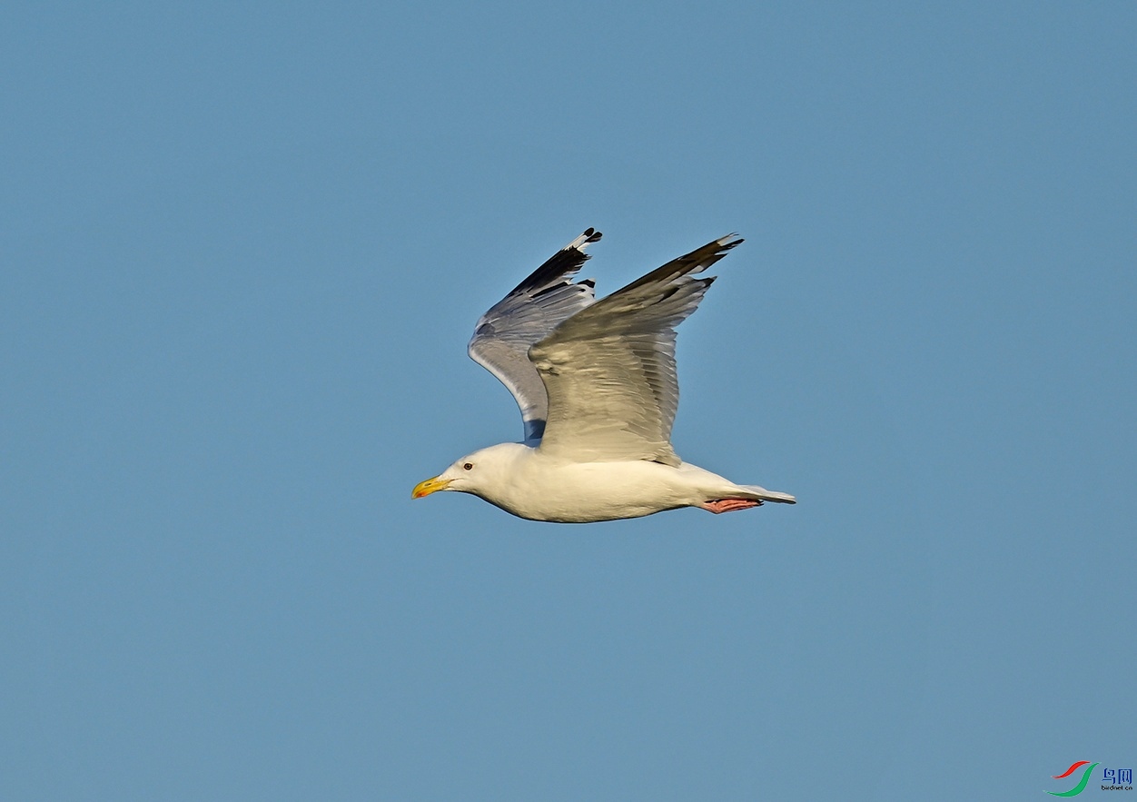 _DSC3587.jpg
