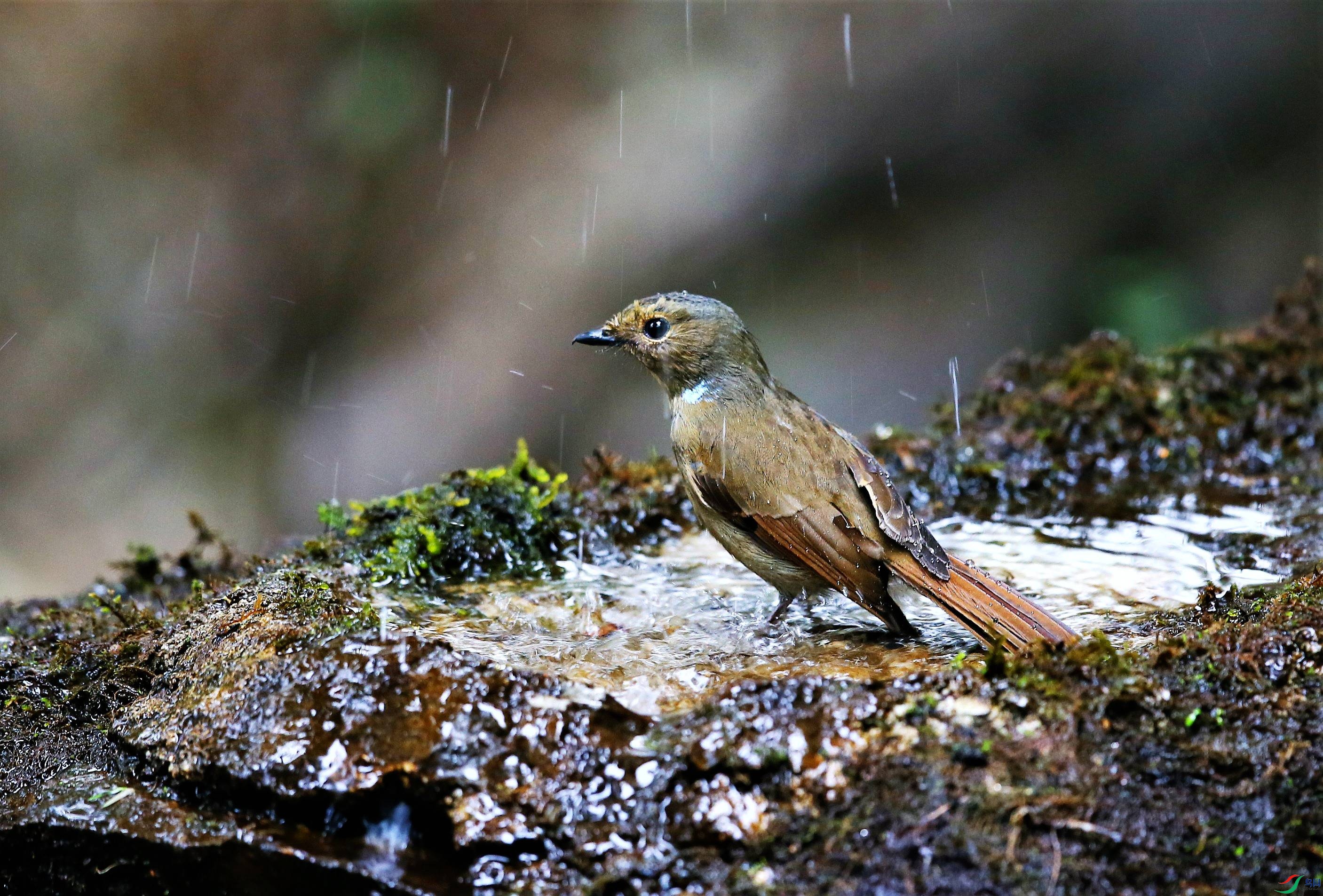 �����l (29).JPG