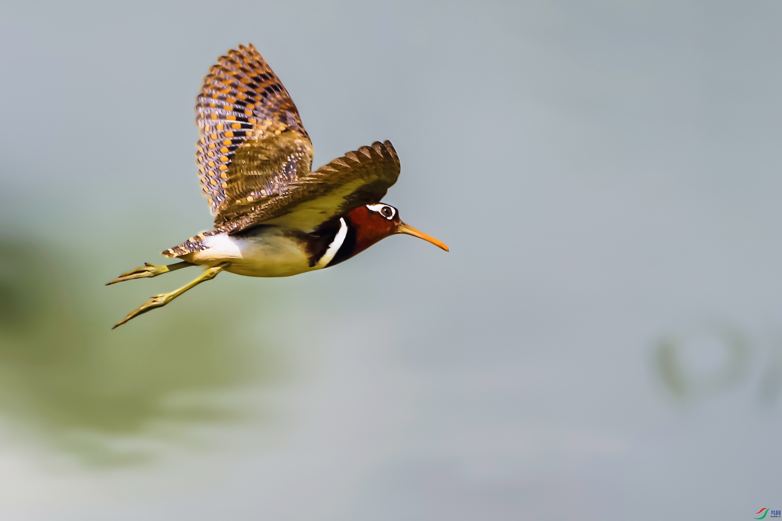 IMGL5098 ����3.jpg