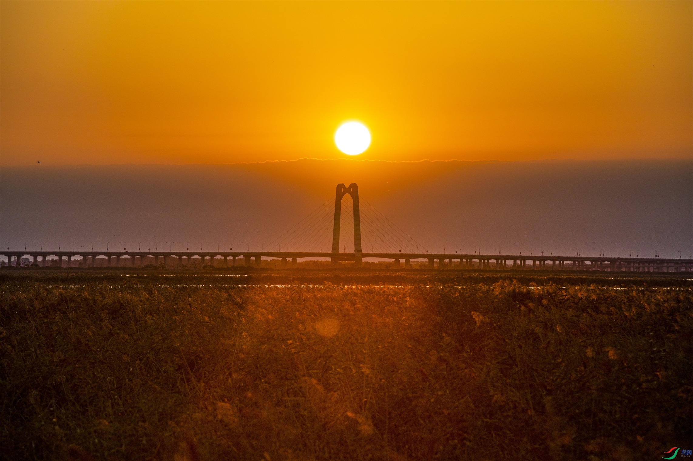 CY4A0477 ����1.jpg