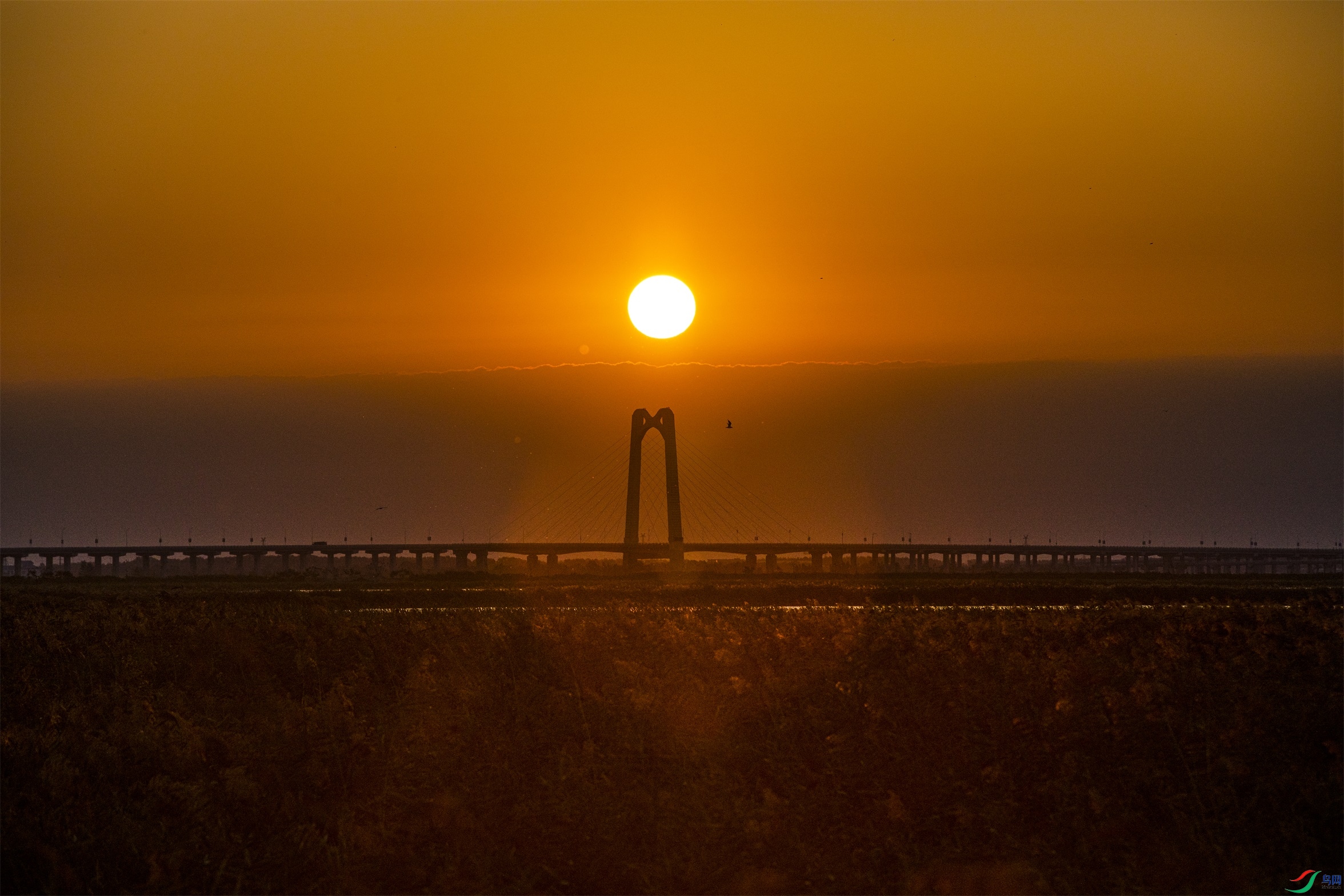 CY4A0480 ����1.jpg