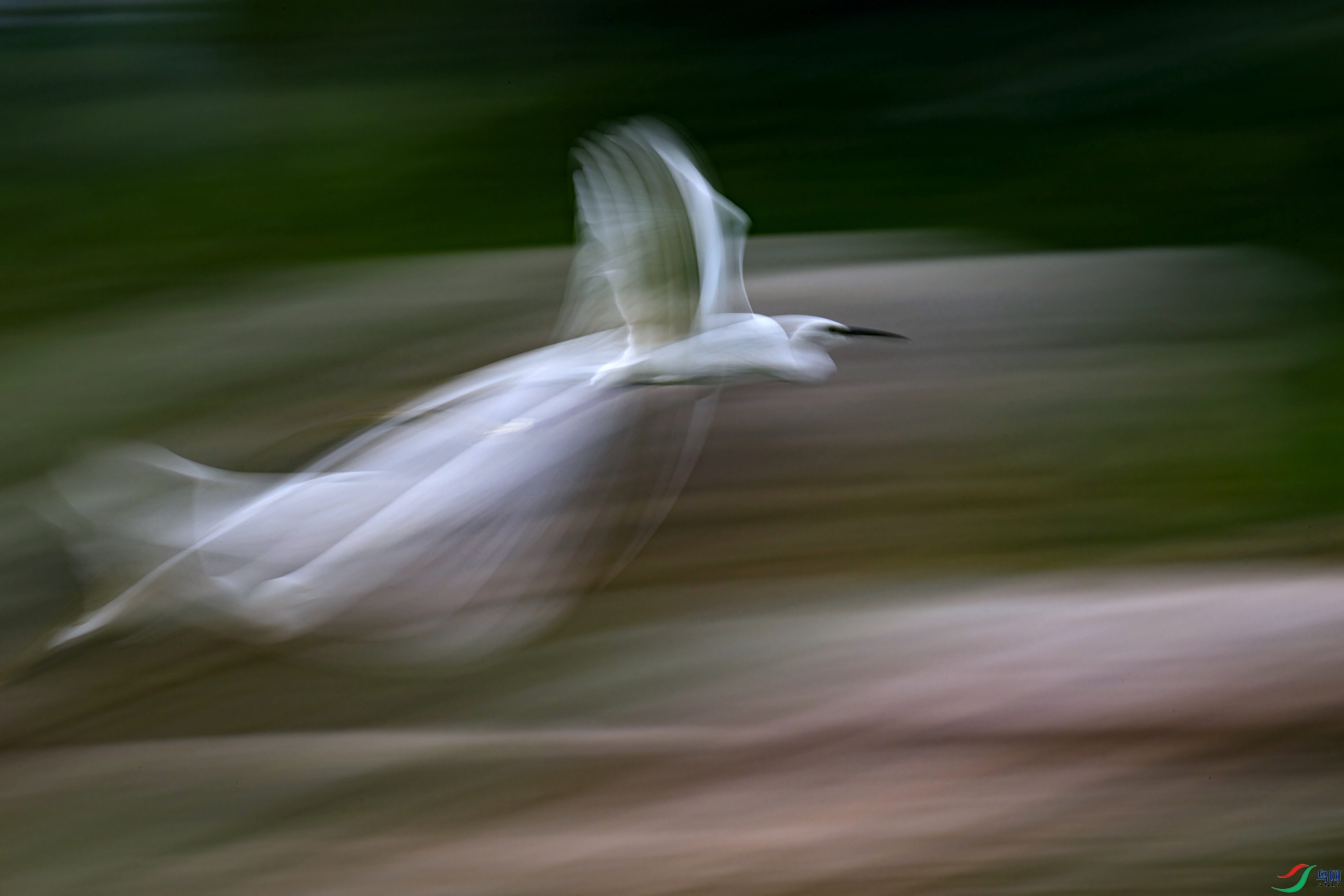 ������ ������ɴȹ�İ��ء� ����.jpg