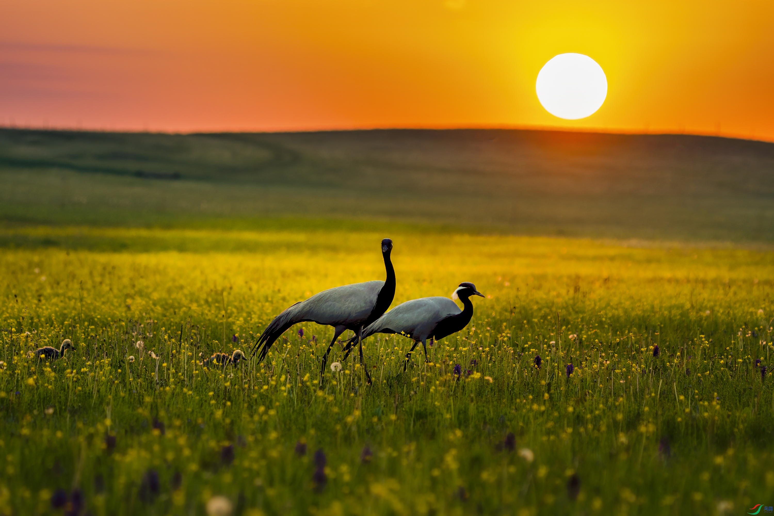 DSC00936 ���� 2.jpg