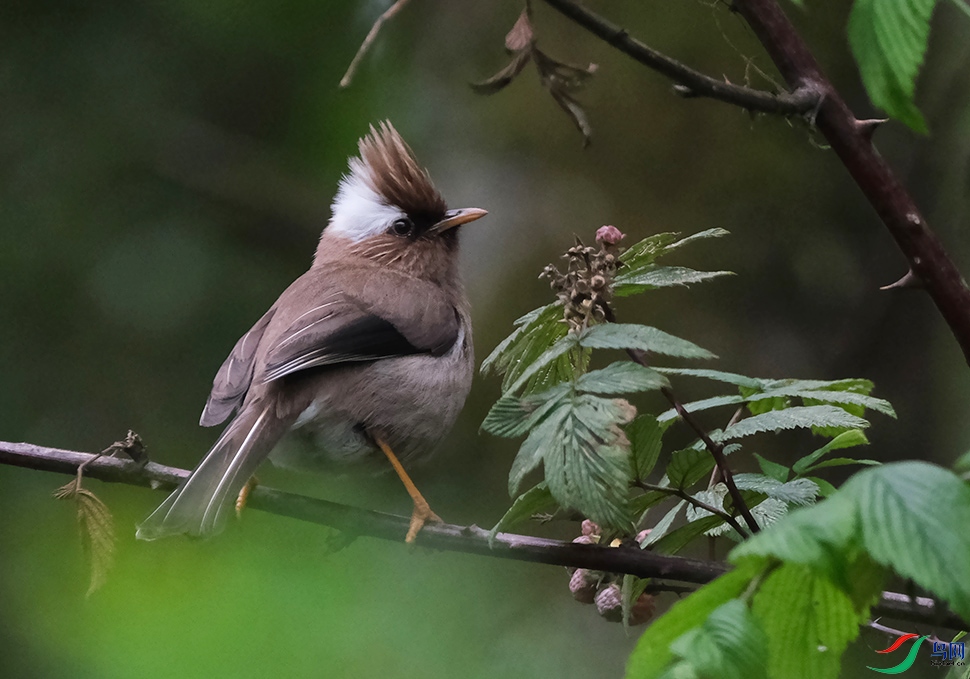 DSCF5573.1.jpg