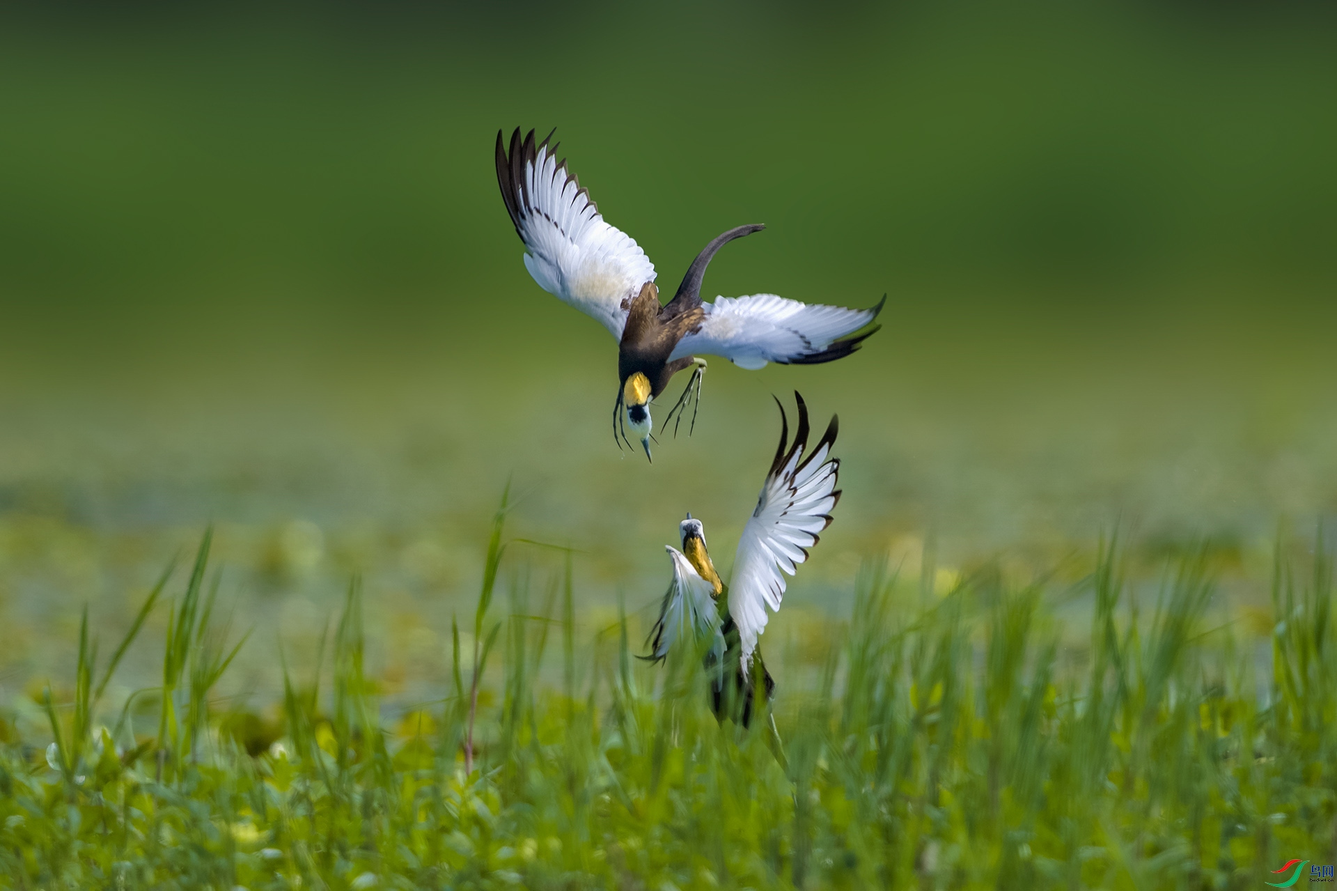 _DSC0307 - ����A.jpg