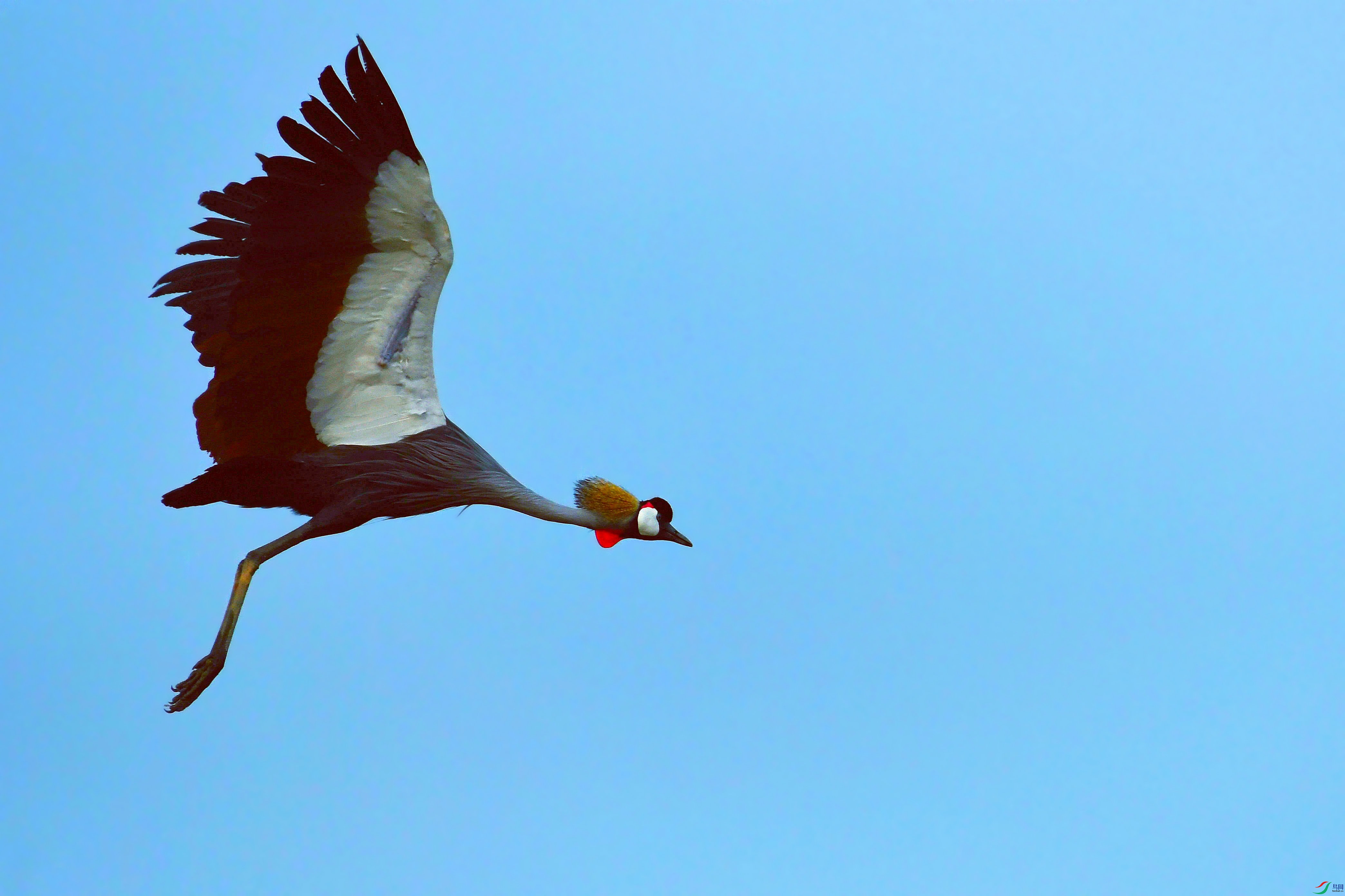 DSC_6956.JPG