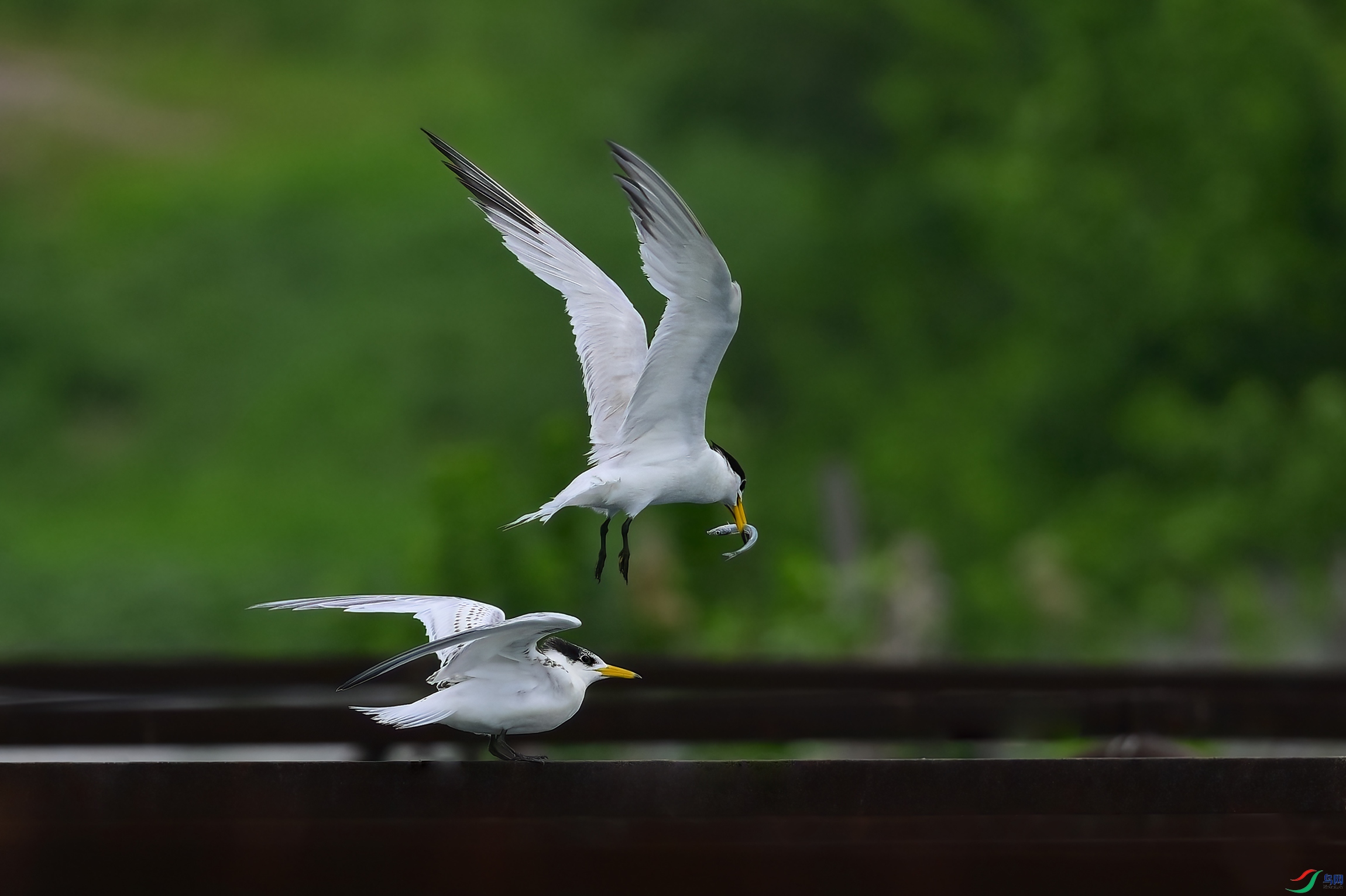 _DSC4672xx.jpg