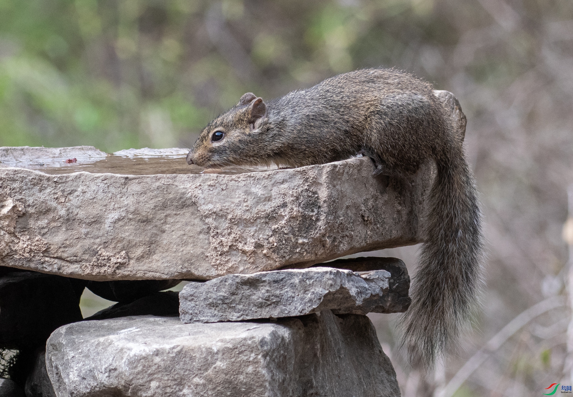 DSC_5022.jpg
