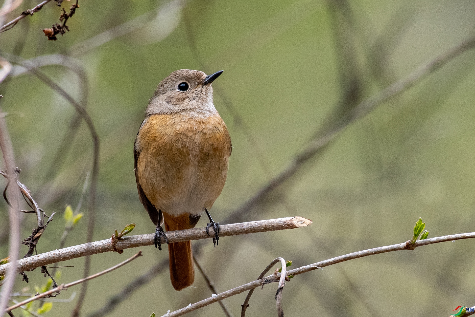 DSC_5075.jpg
