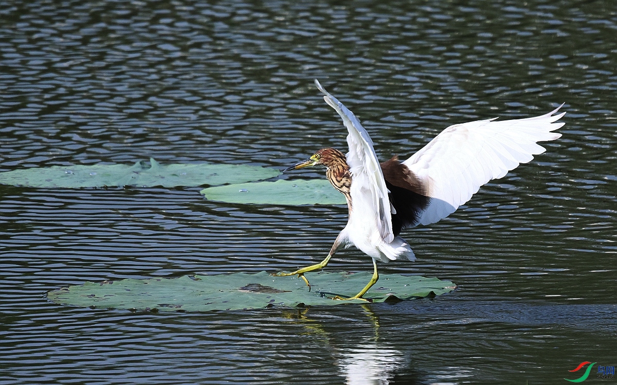 1P3A9860.JPG