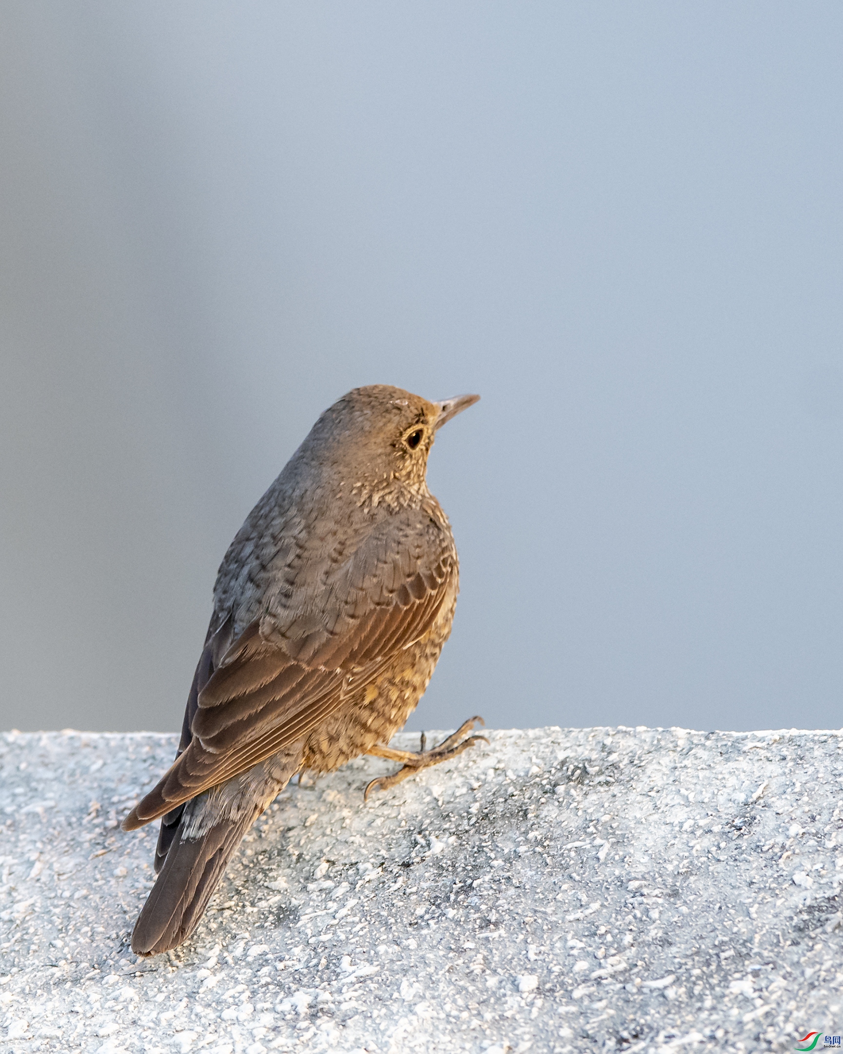 8645 ����.jpg