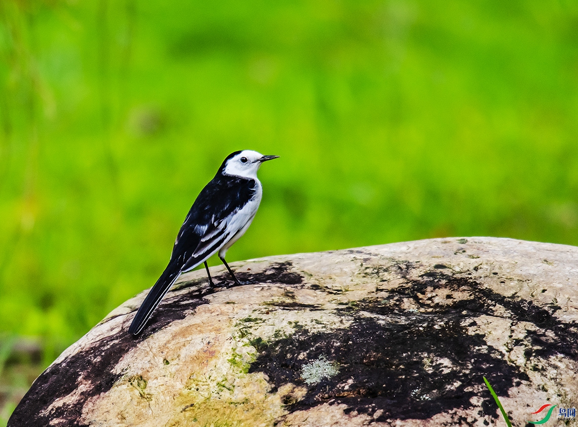 DSC_9175.jpg