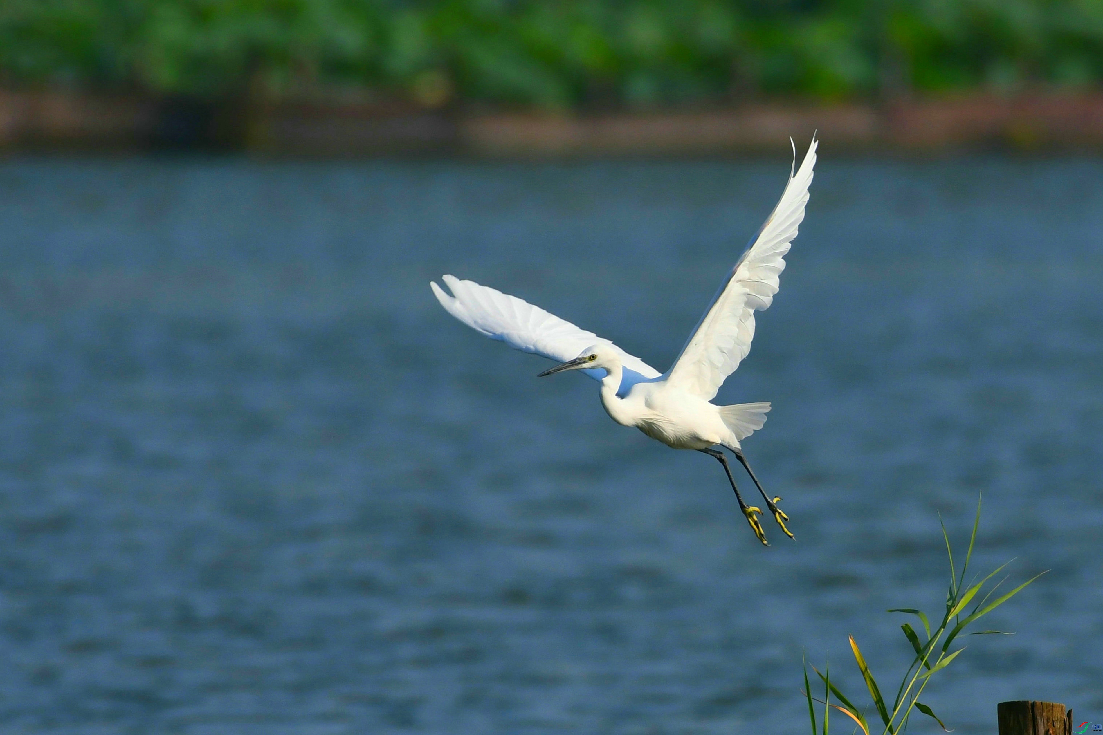 DSC_6508.JPG