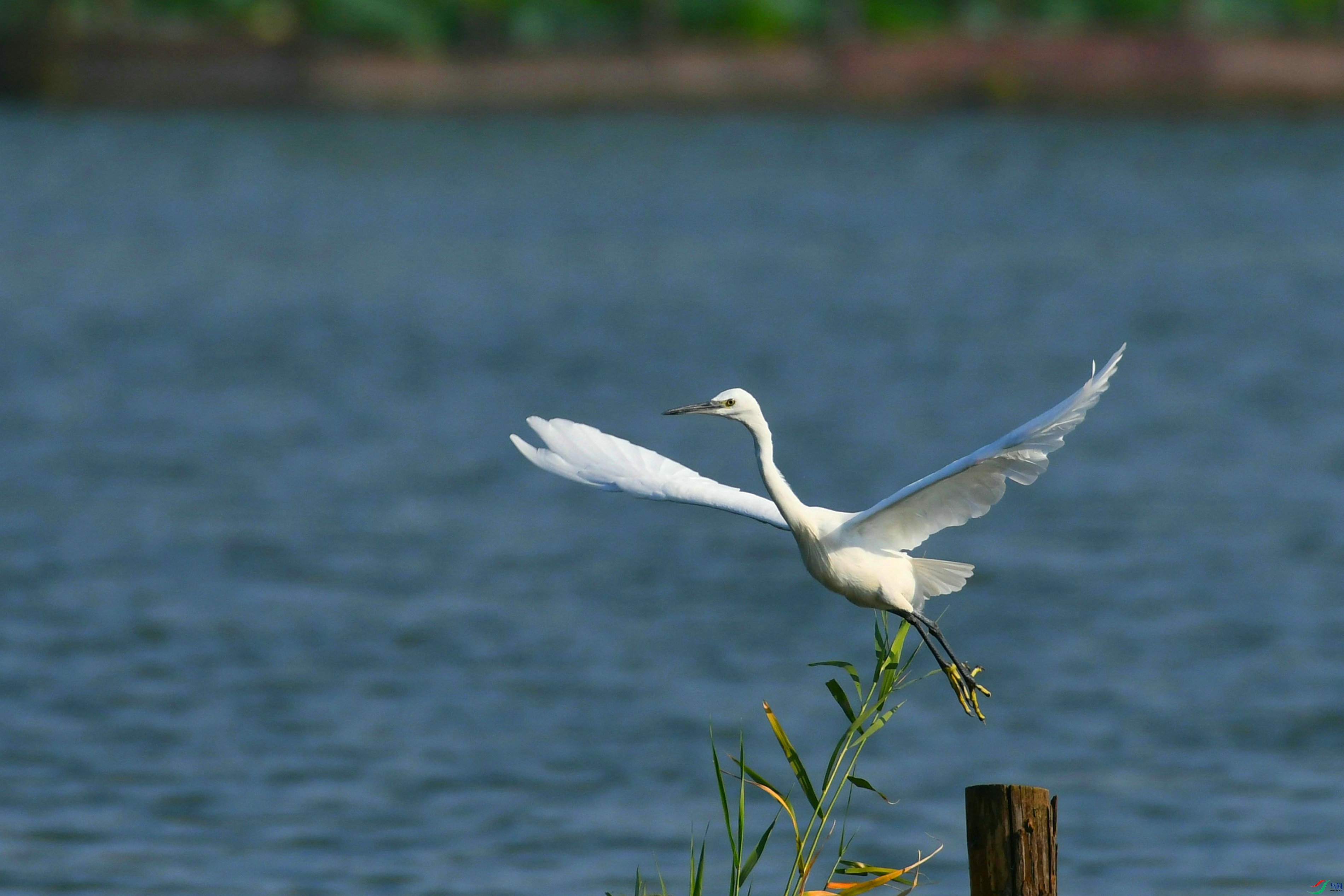 DSC_6506.JPG