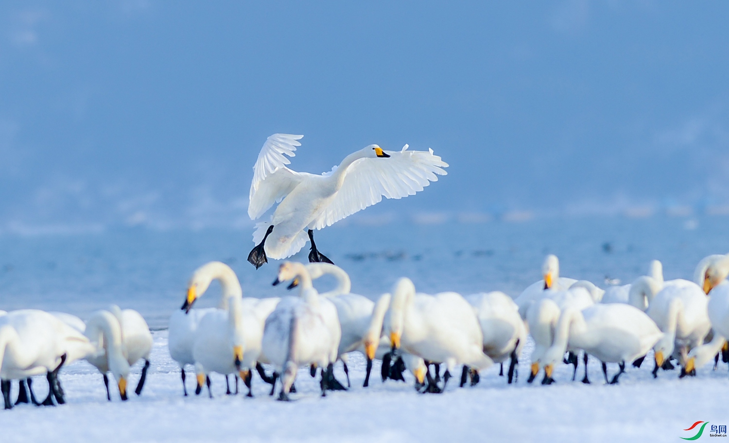 DSC_6382-1.jpg