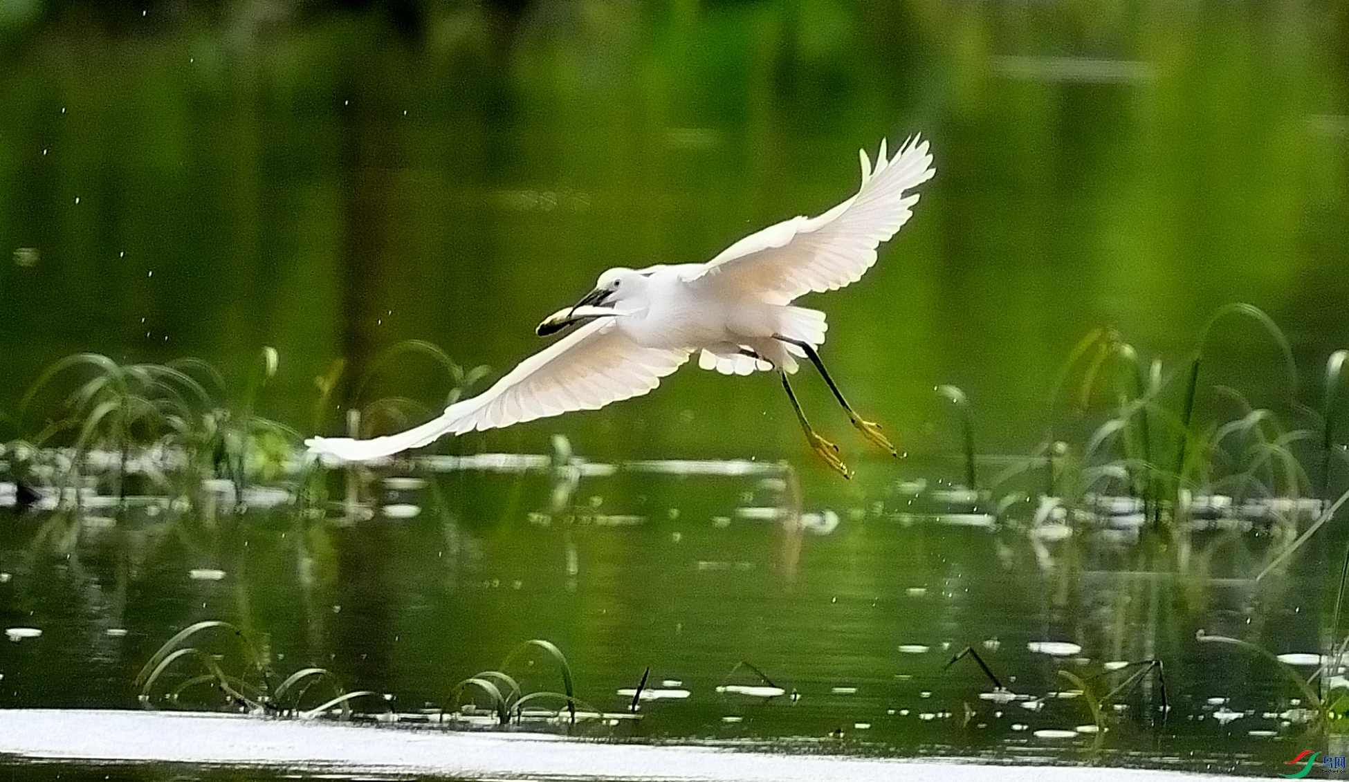 �����к���