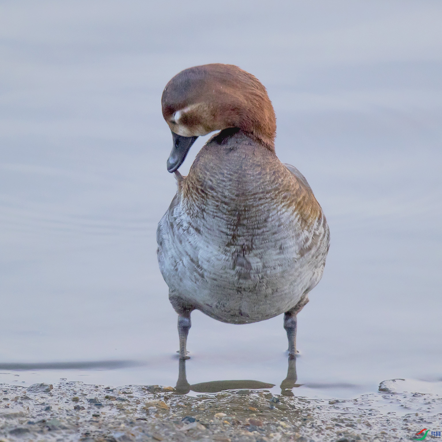 _90I5442 ����.jpg