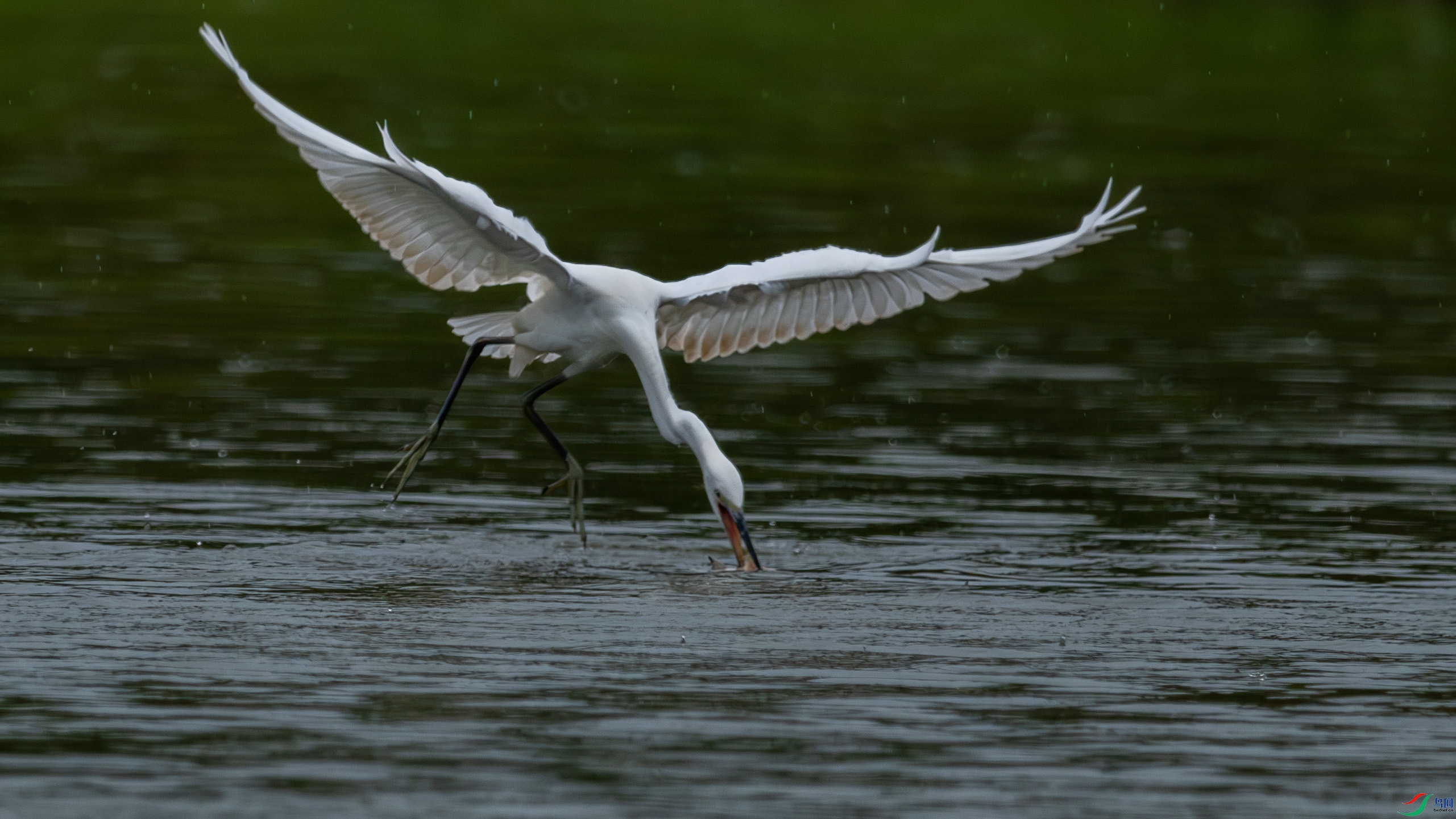 DSC_5416.jpg