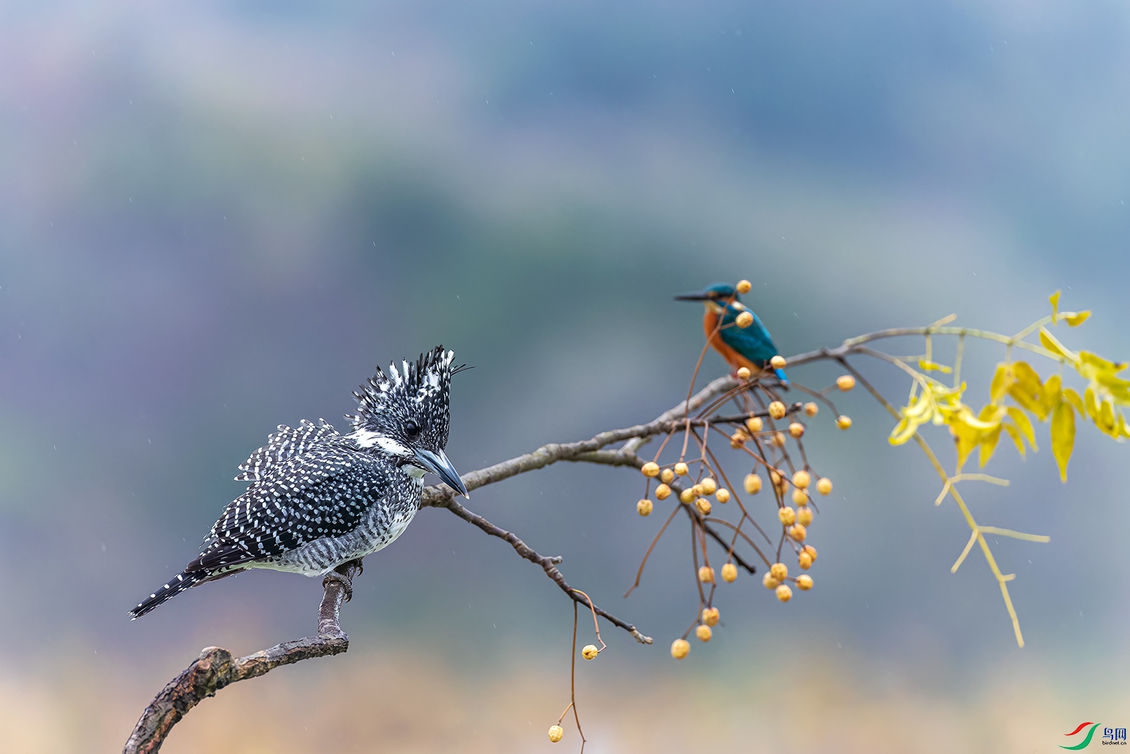 hnxyR221113 (2365)_DxO.jpg