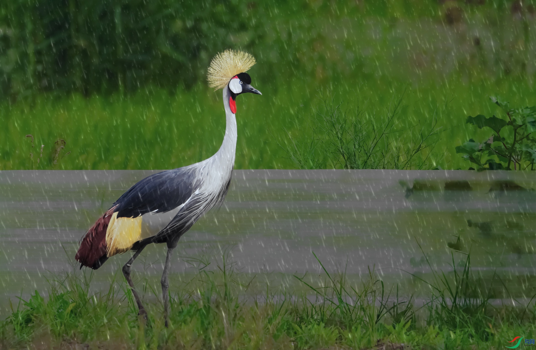 193A8923 ����.jpg