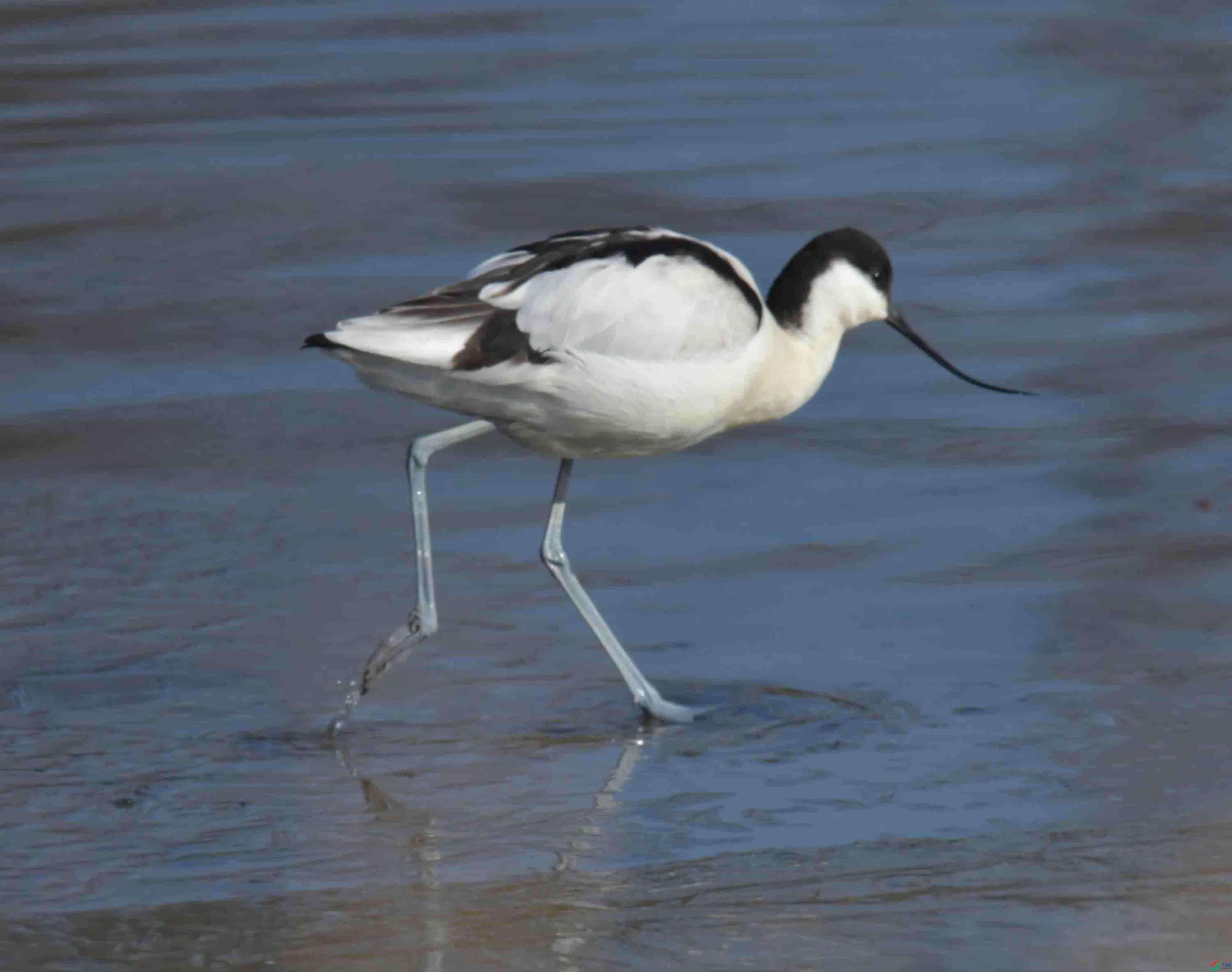 DSC_4972.JPG