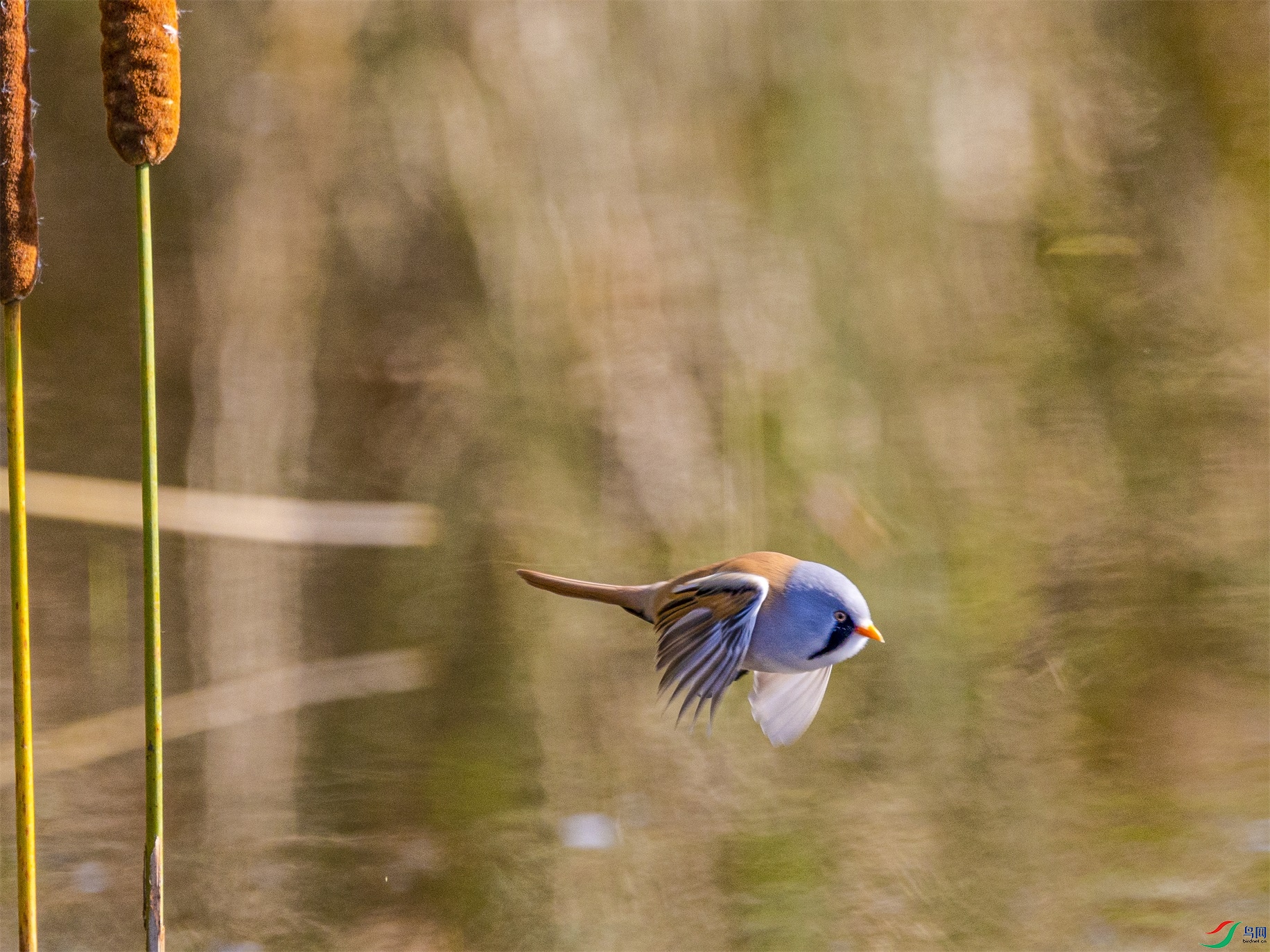 1K3A0982 ����1.jpg