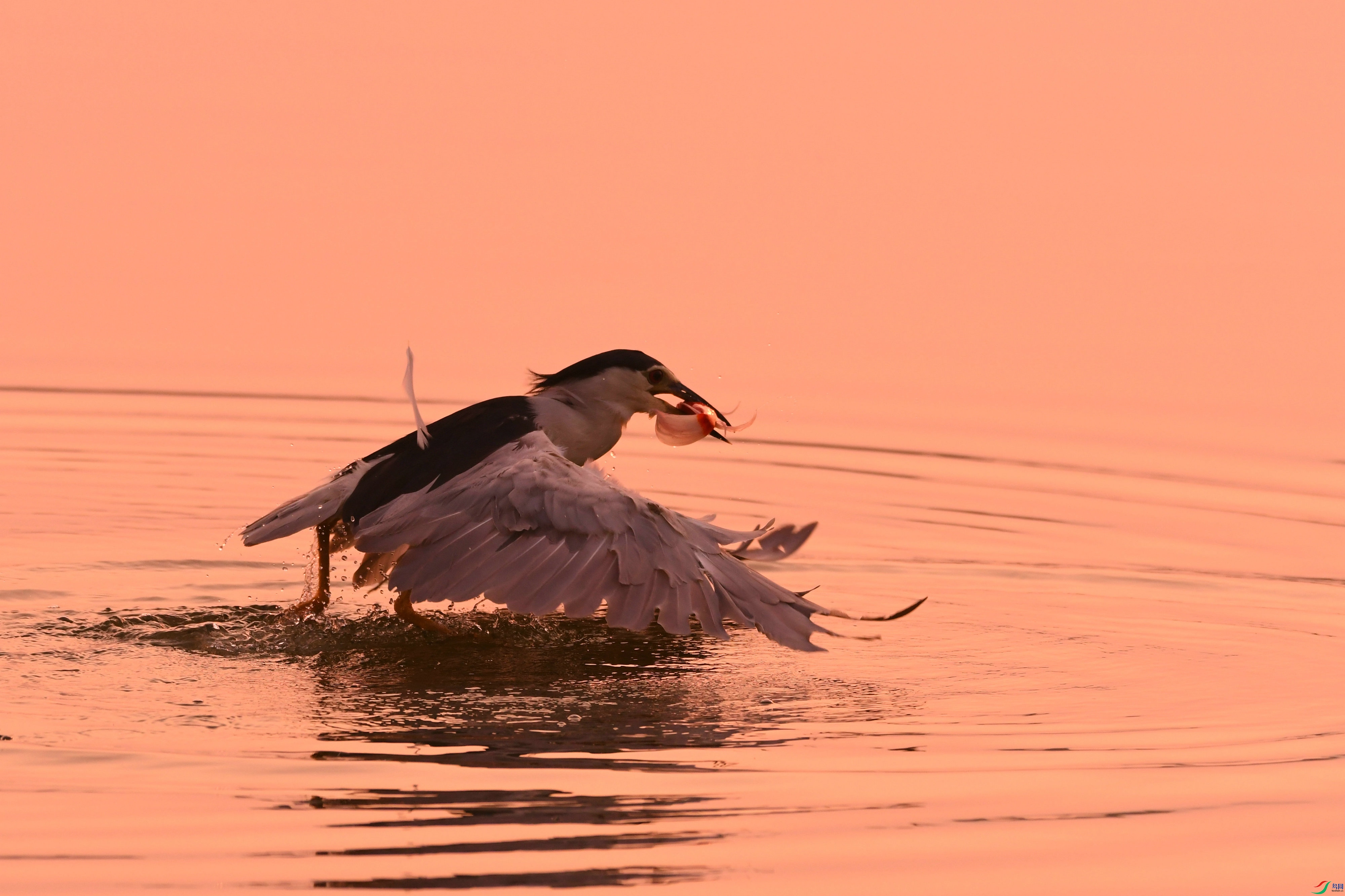 DSC_7639.JPG