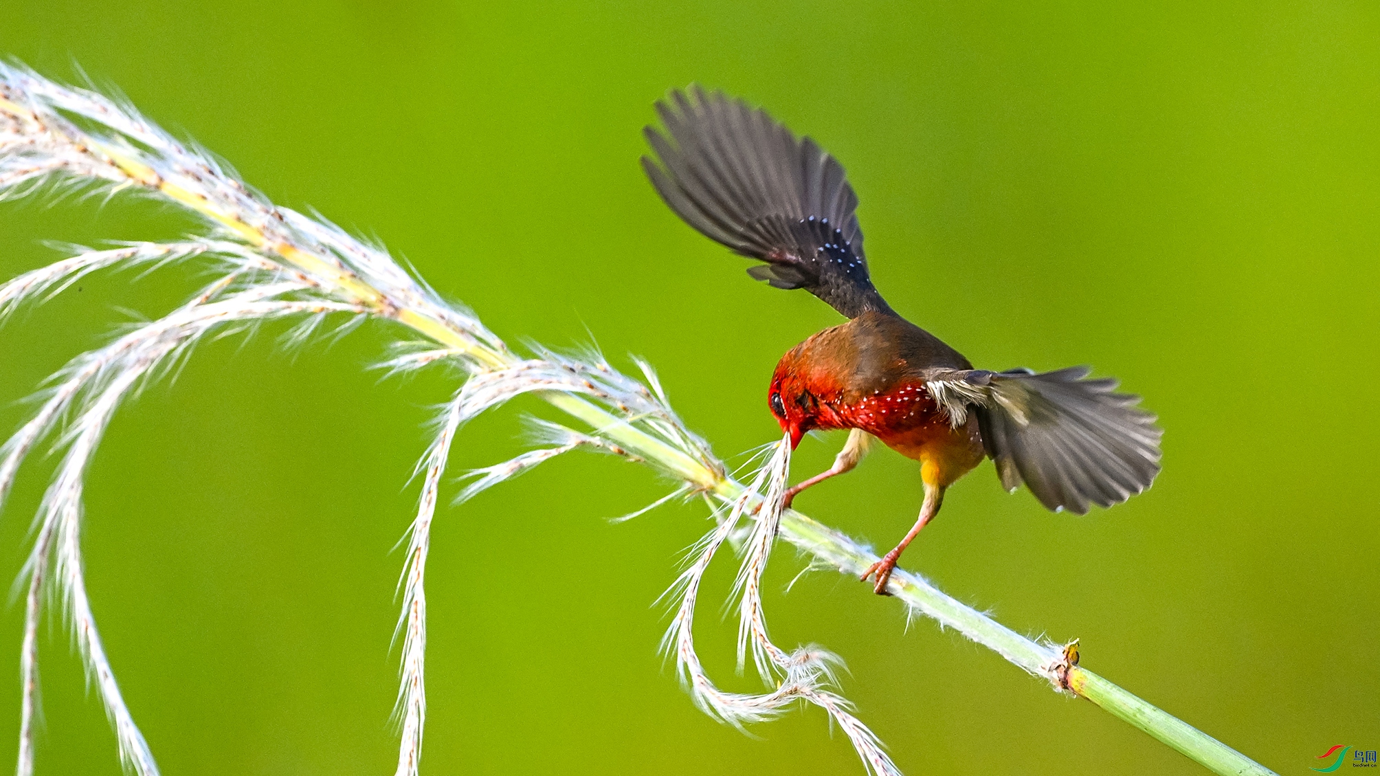 3576 ����.jpg