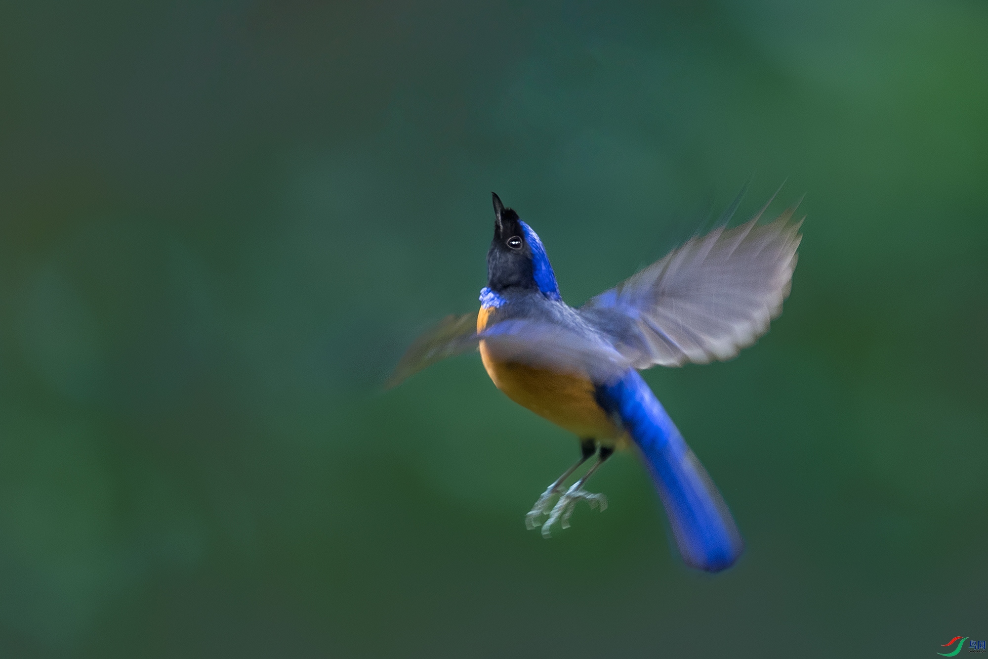 �ظ����l----չ������