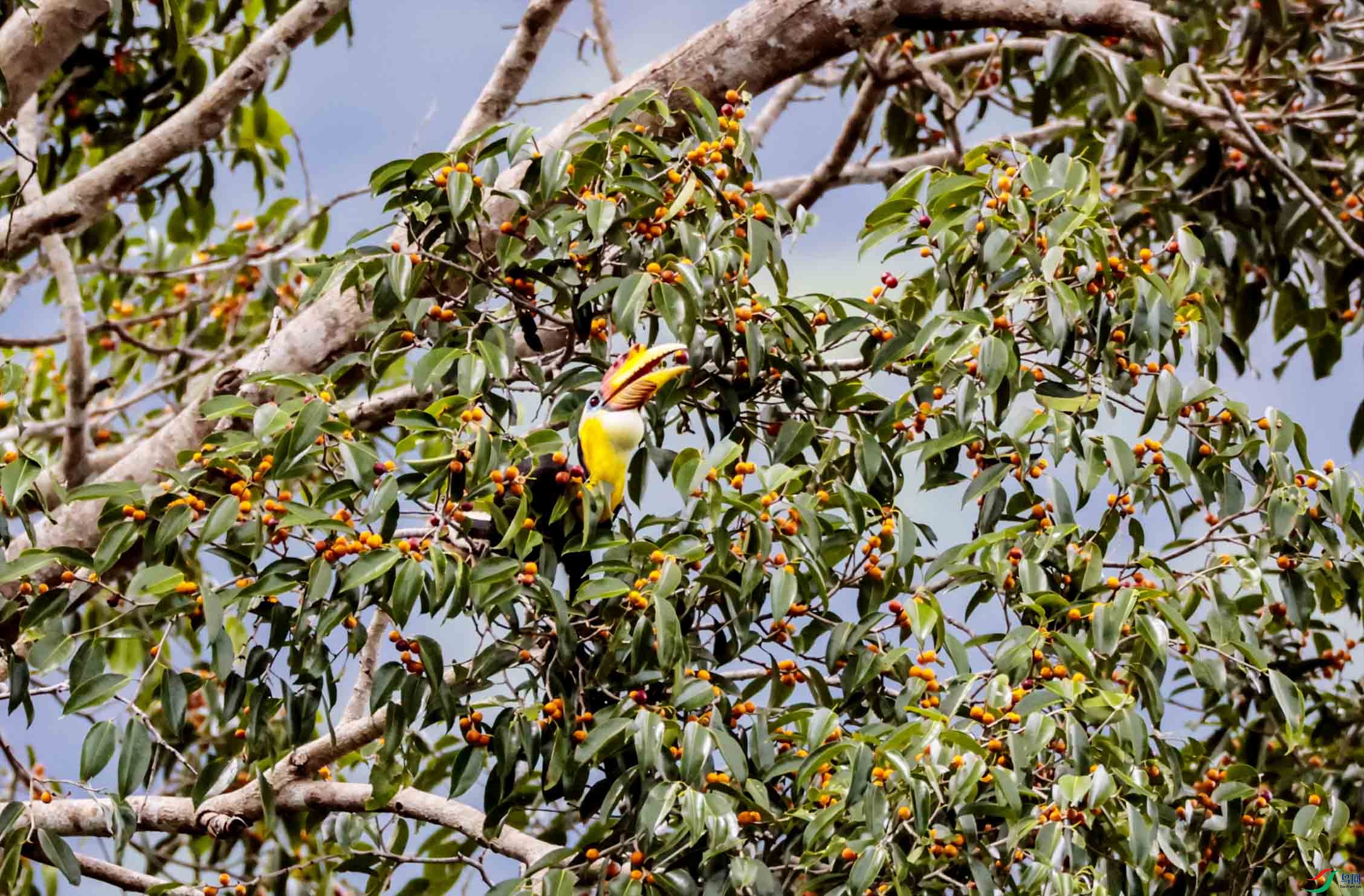 �������������ڳ����������Ϭ�� .jpg